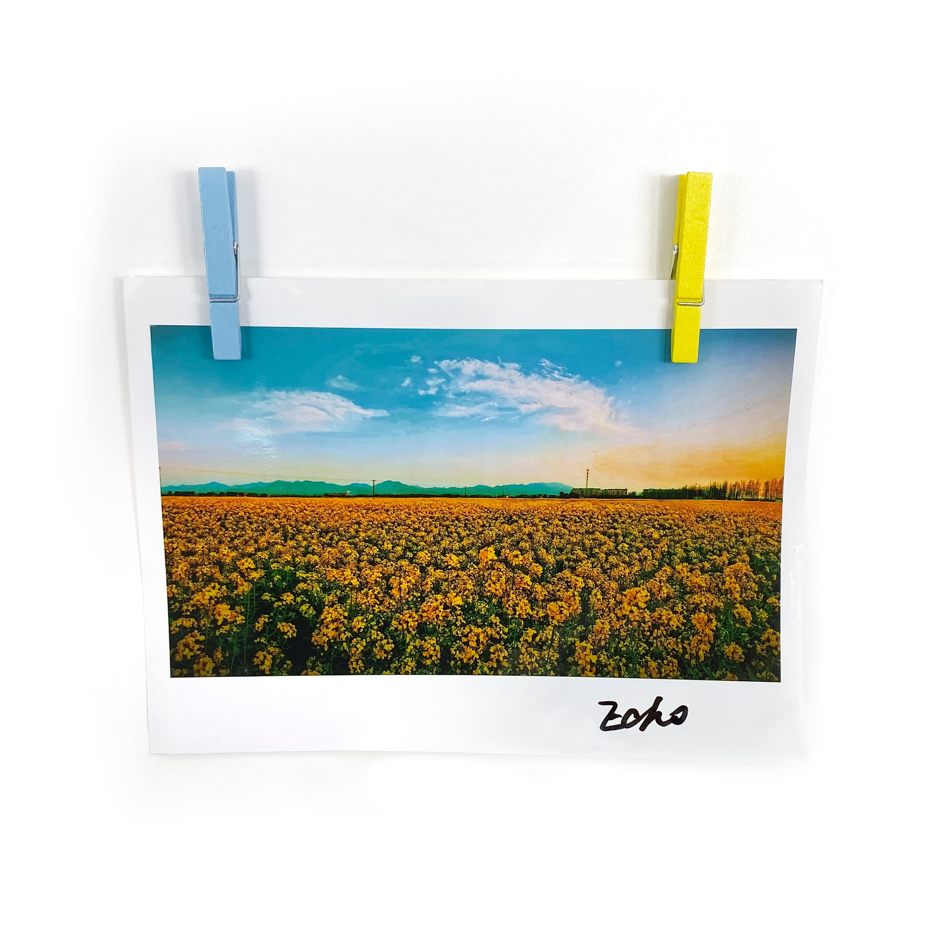 12 Packs: 30 ct. (360 total) Medium Pastel Clothespins by Recollections™