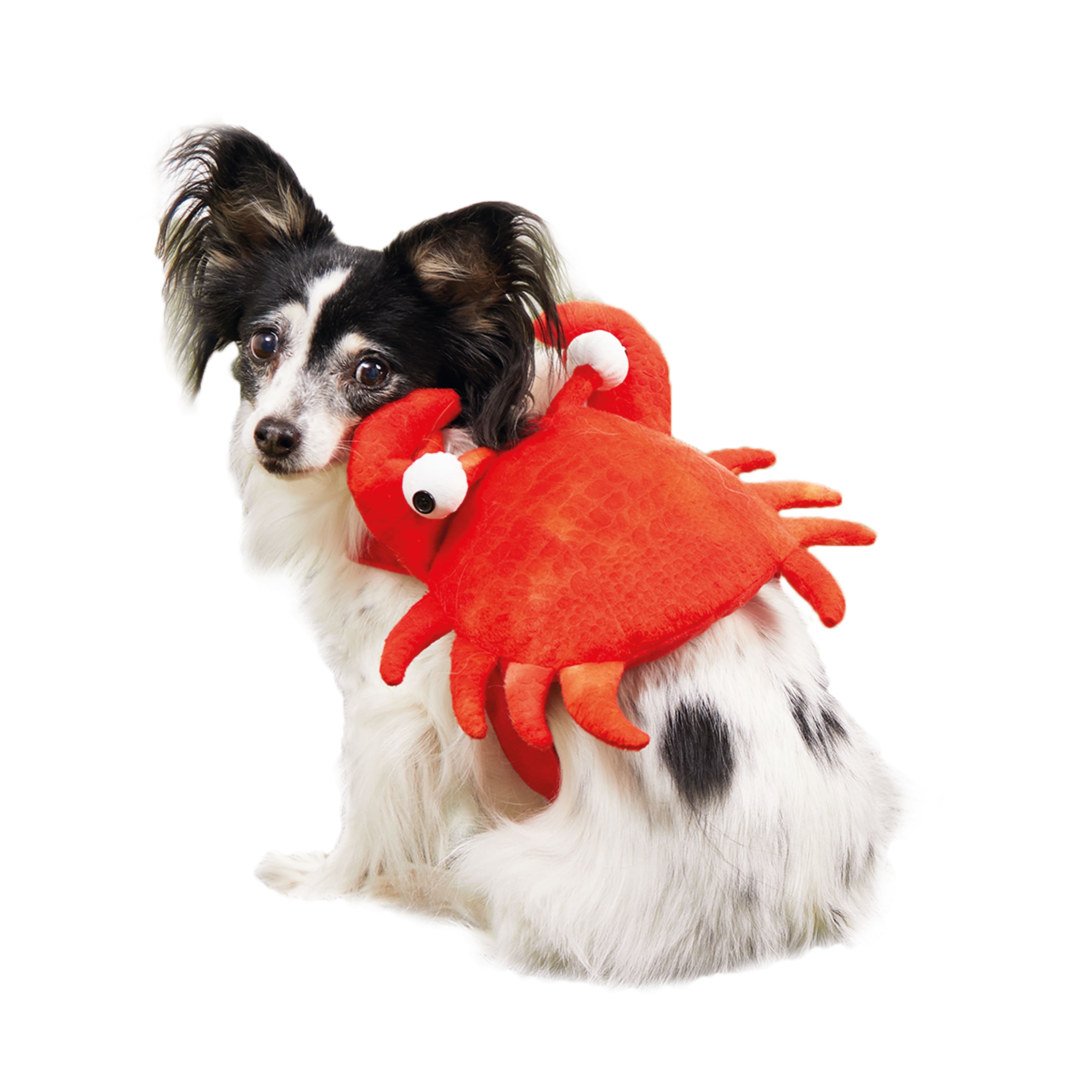 Assorted Halloween Crab Dog Costume, 1pc. by Ashland&#xAE;