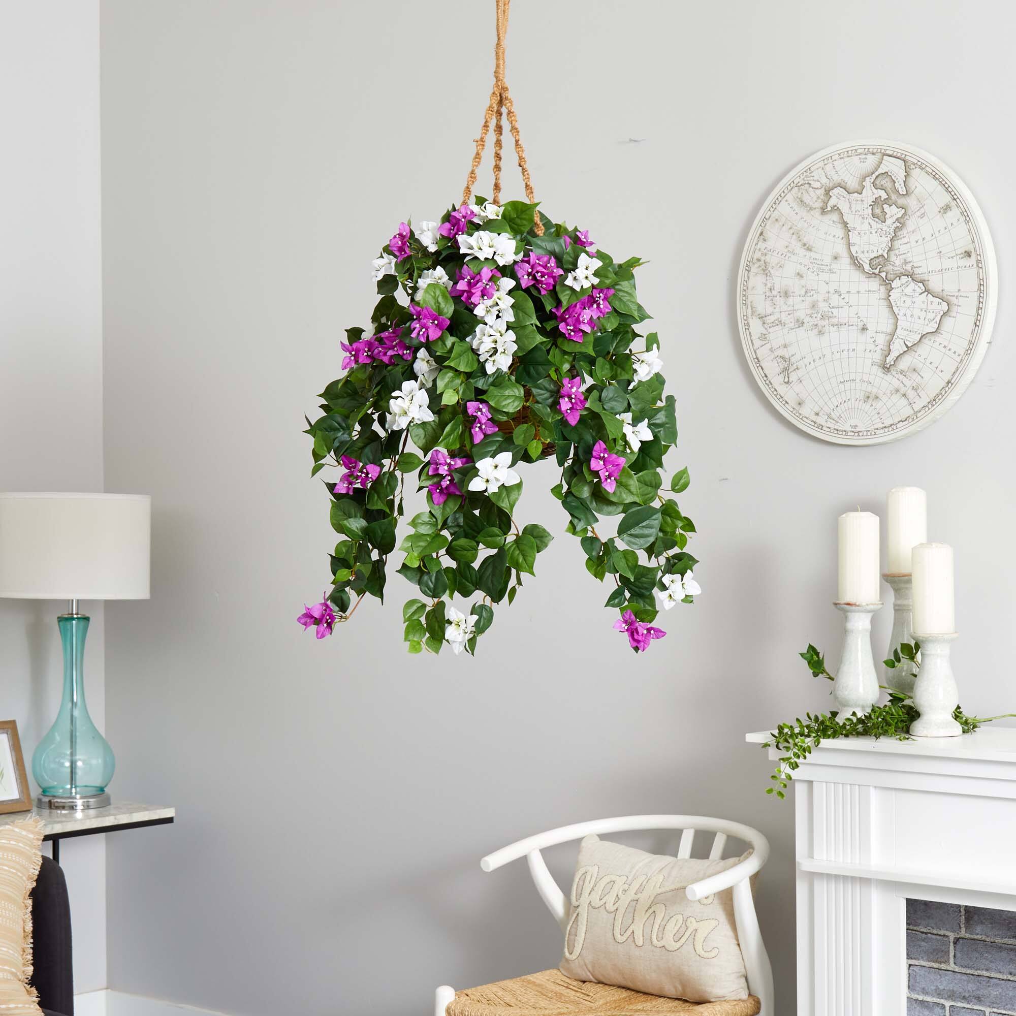 2.5ft. Mixed Bougainvillea in Hanging Basket