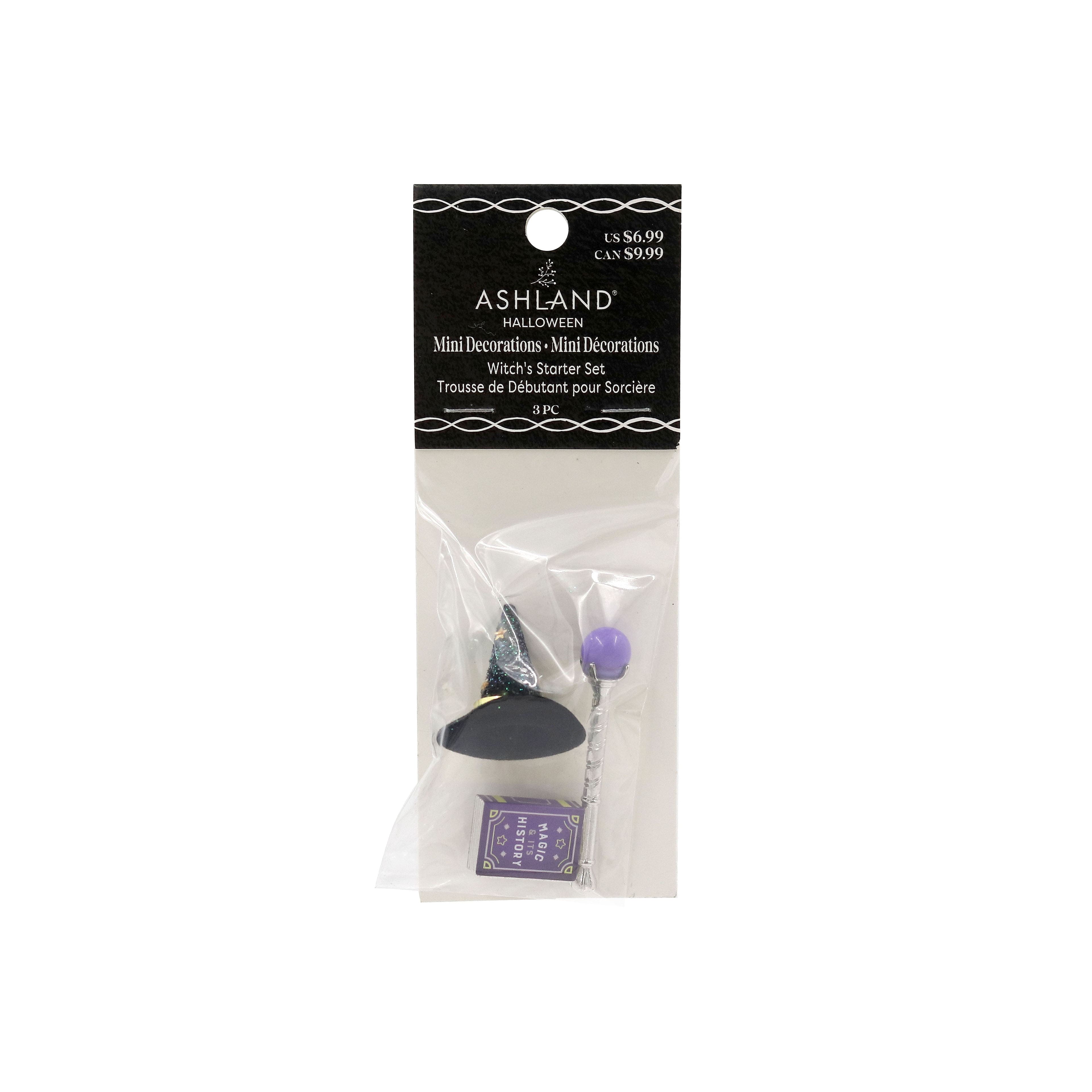 Witch&#x27;s Starter Set Mini Decorations by Ashland&#xAE;