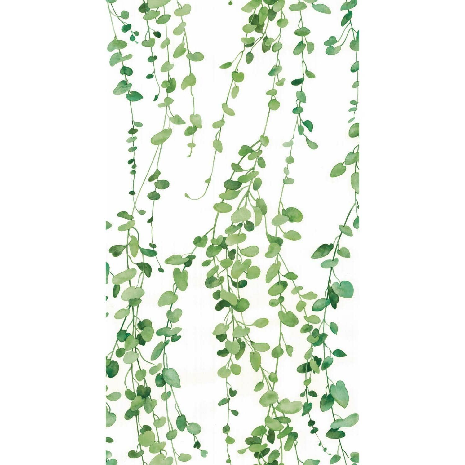 RoomMates Hanging Watercolor Vines Peel & Stick Wallpaper