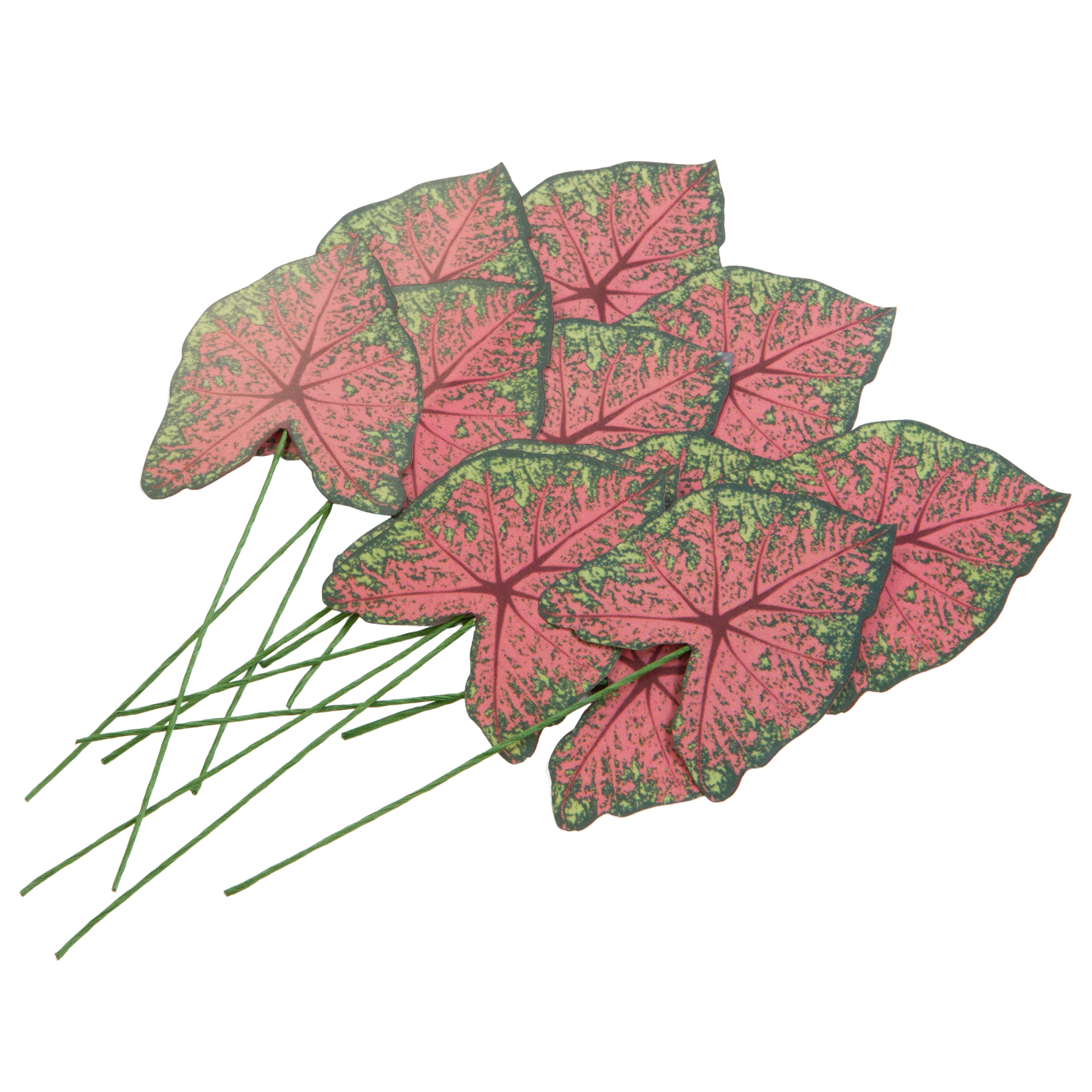 12 Packs: 12 ct. (144 total) Green & Pink Paper Caladium Leaves by Recollections™