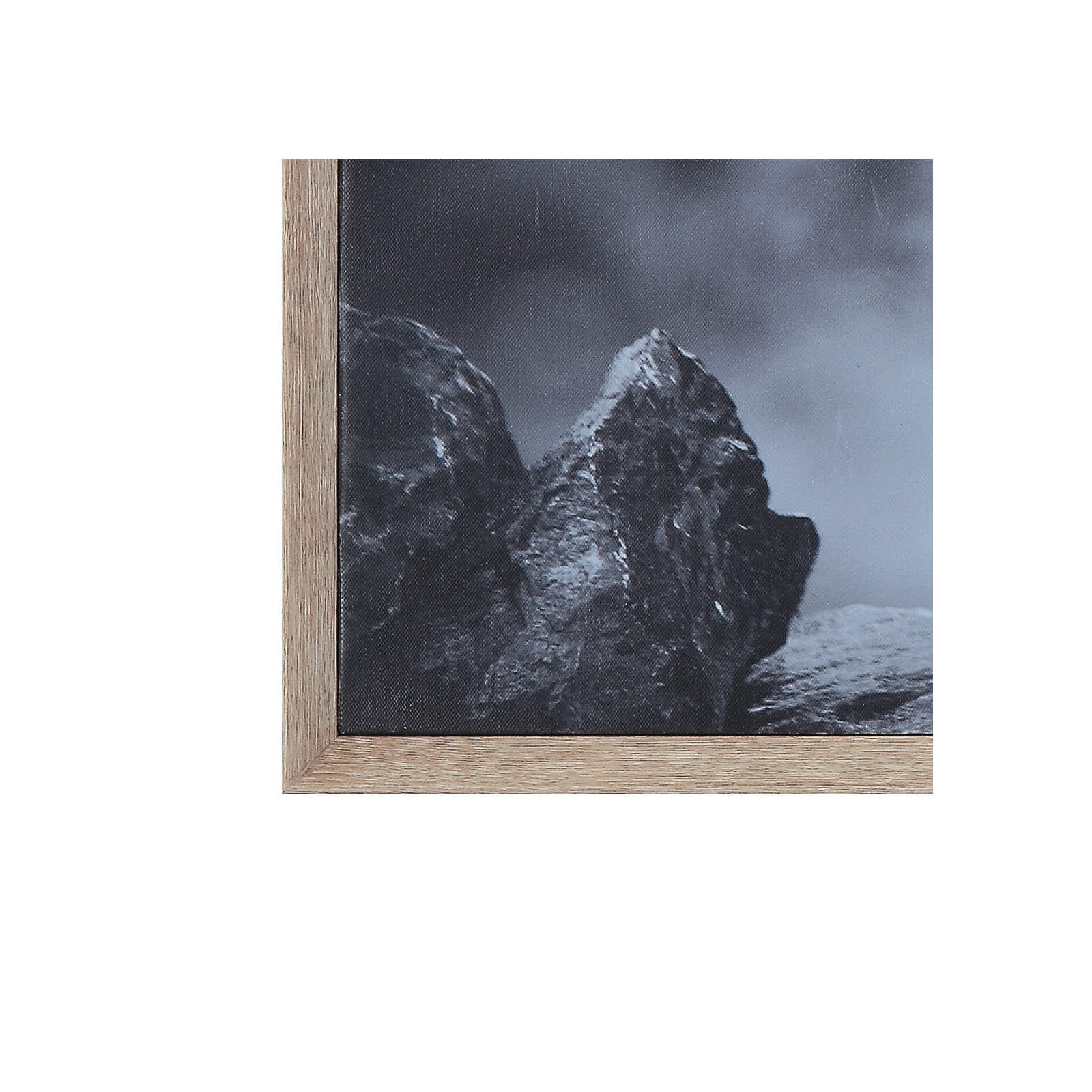Hello Honey&#xAE; Black &#x26; White Donkey on Canvas Wood Framed Wall D&#xE9;cor