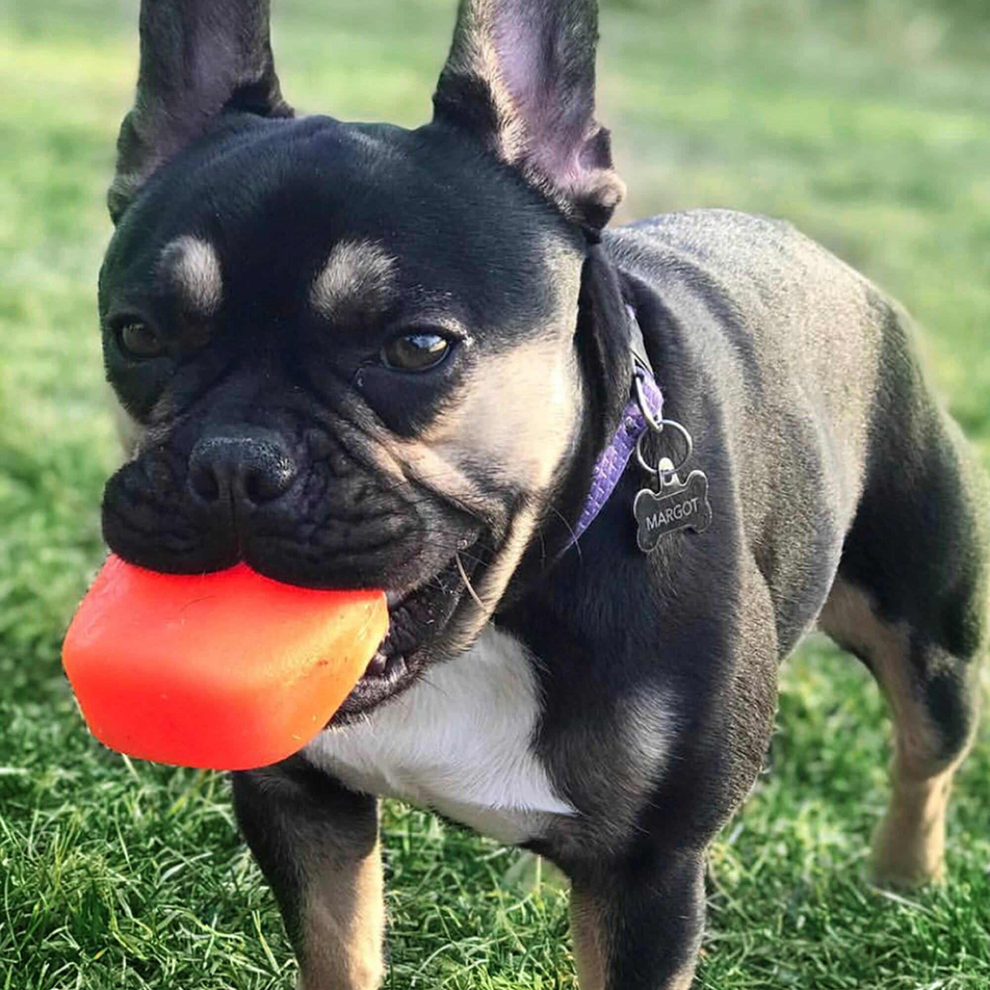 Ruff Dawg™ Rock Rubber Indestructible Retrieving Dog Toy