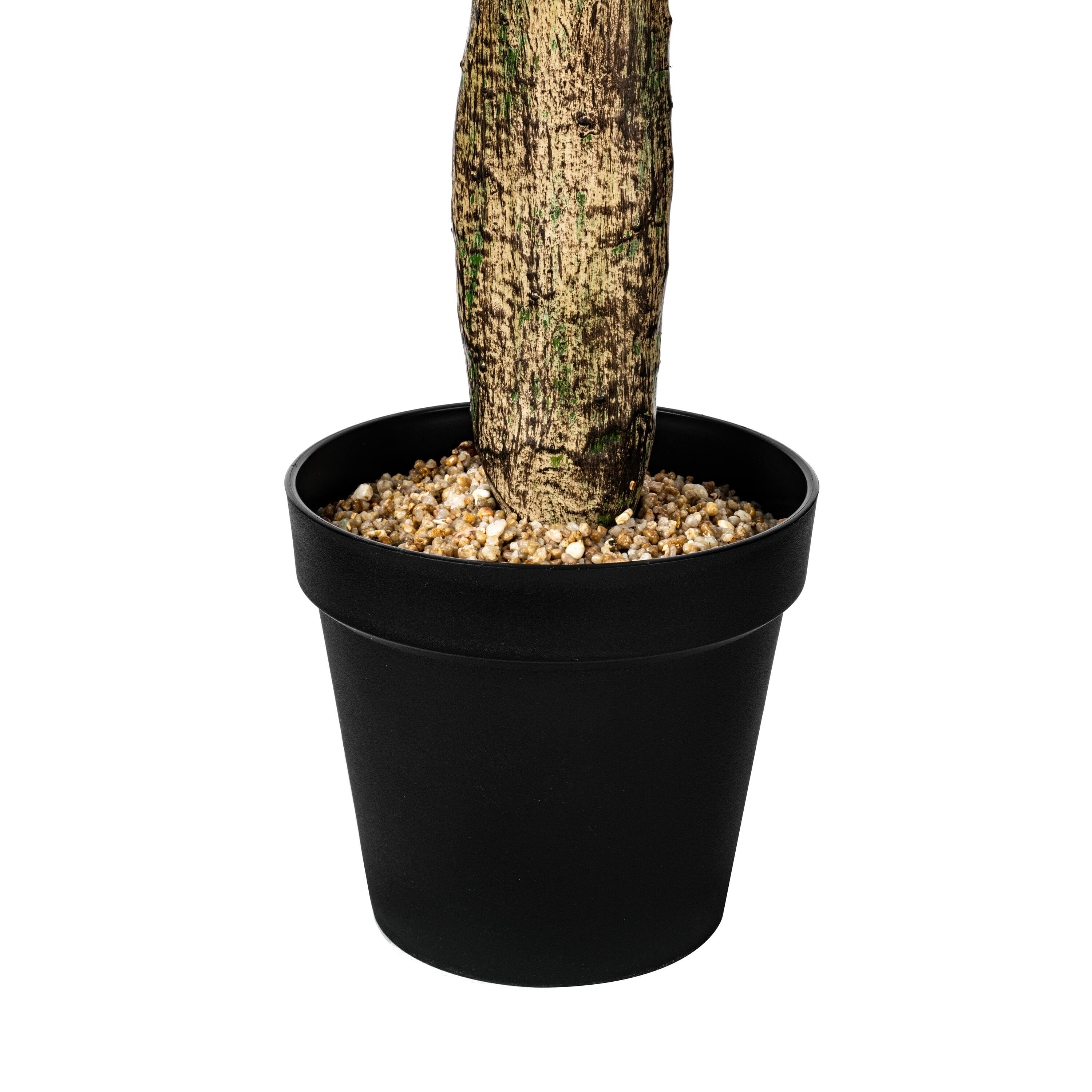 7ft. Potted Green Cactus