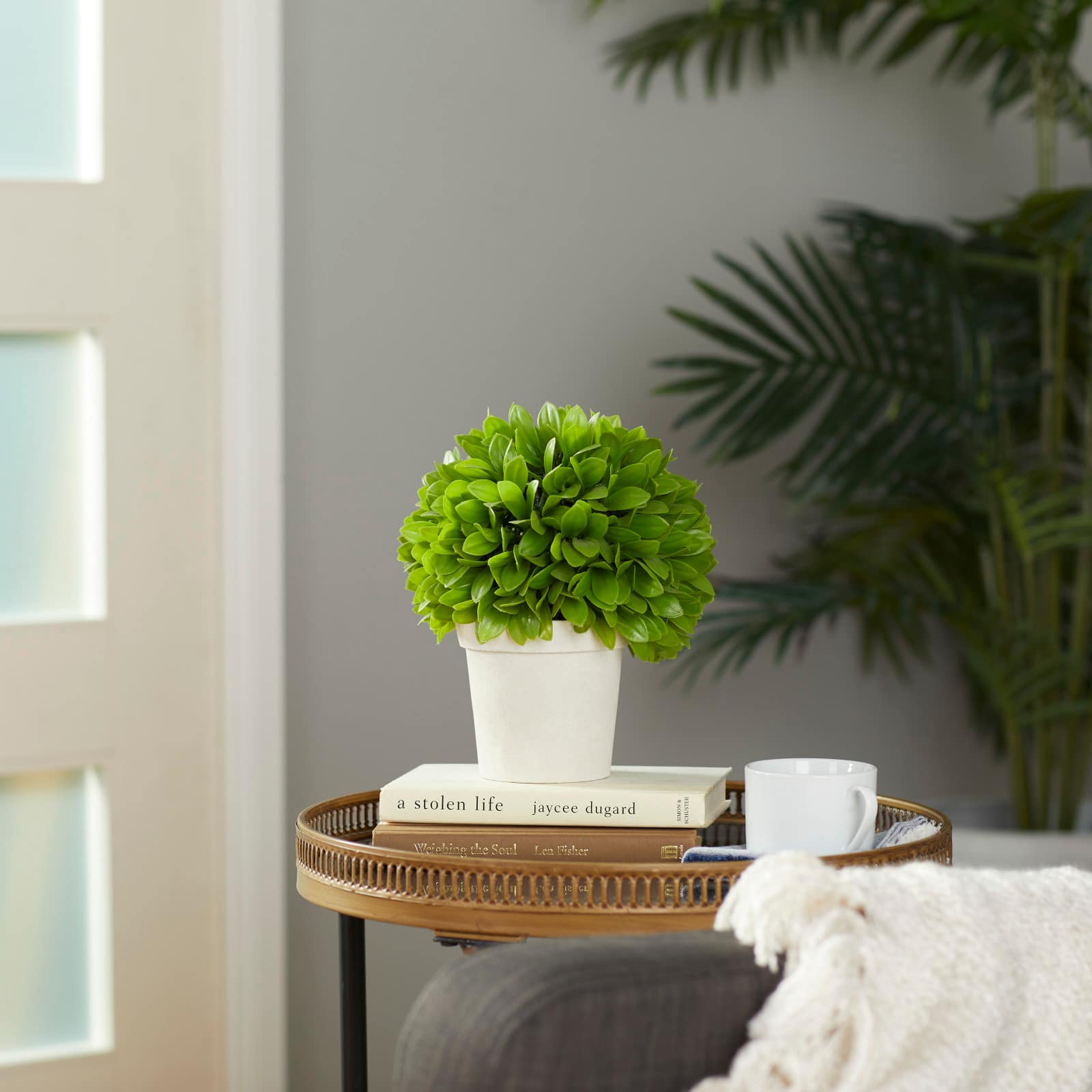10&#x22; Boxwood Topiary in Decorative Planter