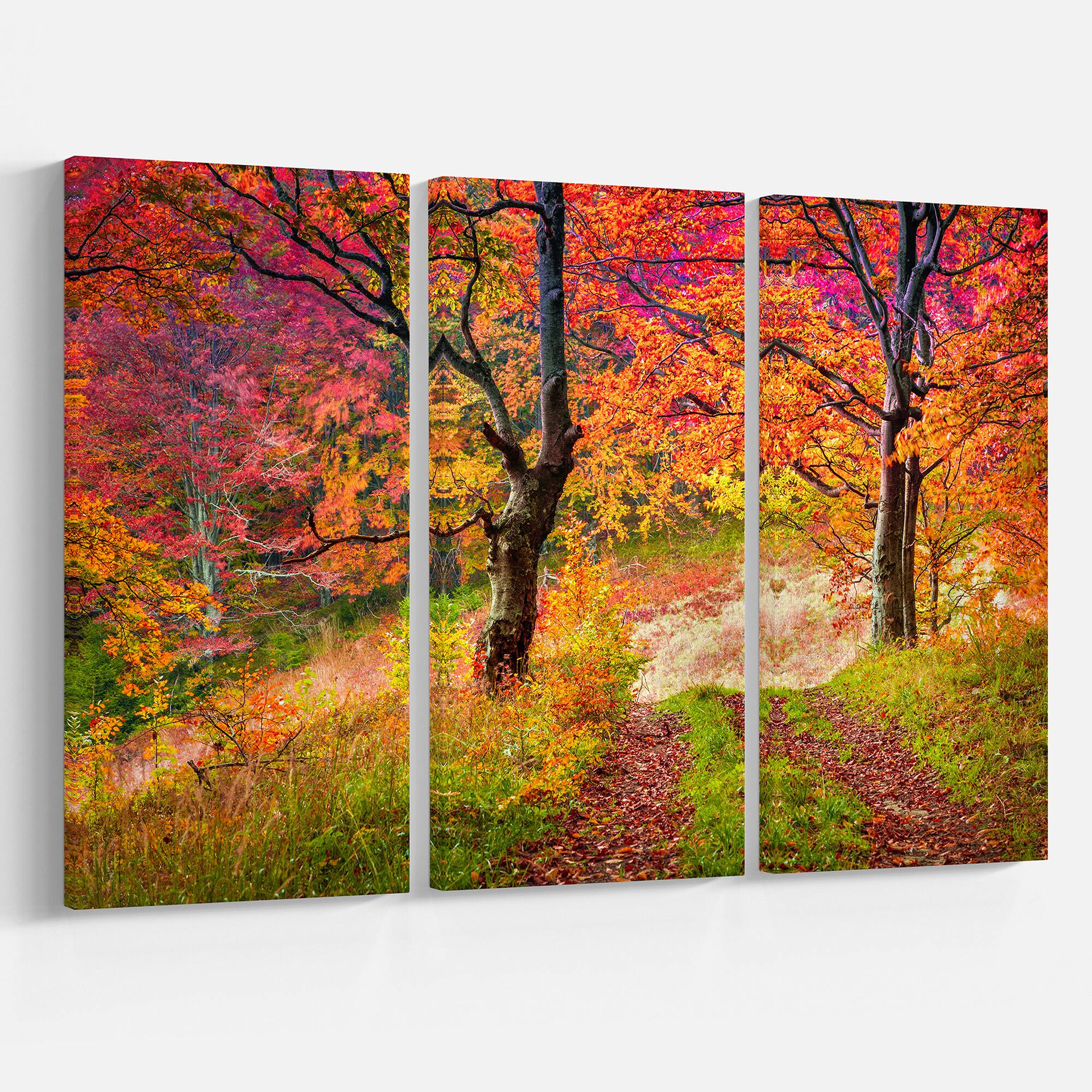 Designart - Bright Colorful Fall Trees in Forest - Large Landscape Canvas Art Print