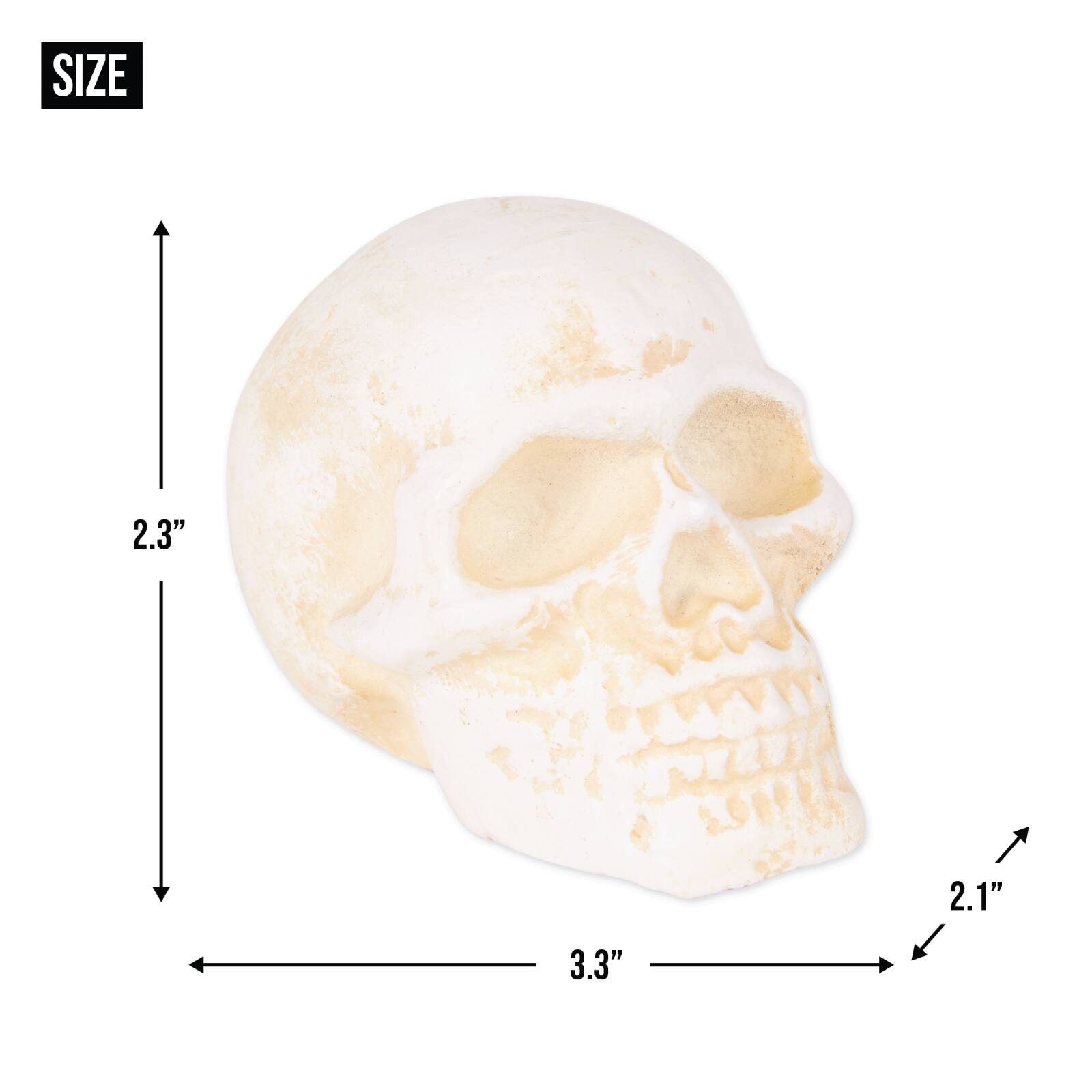 DII&#xAE; Human Skull Cast Iron Paperweight