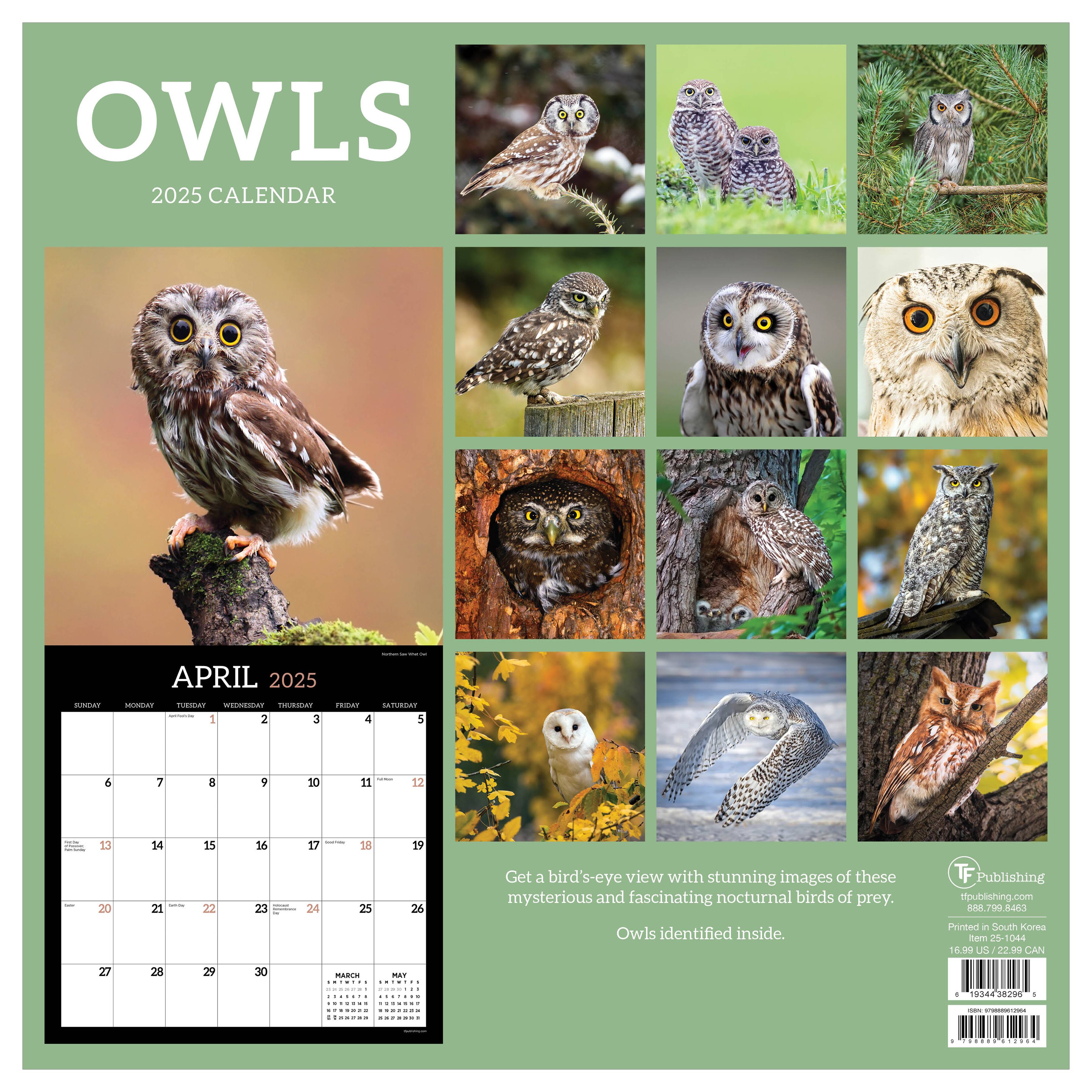 TF Publishing 2025 Owls Wall Calendar