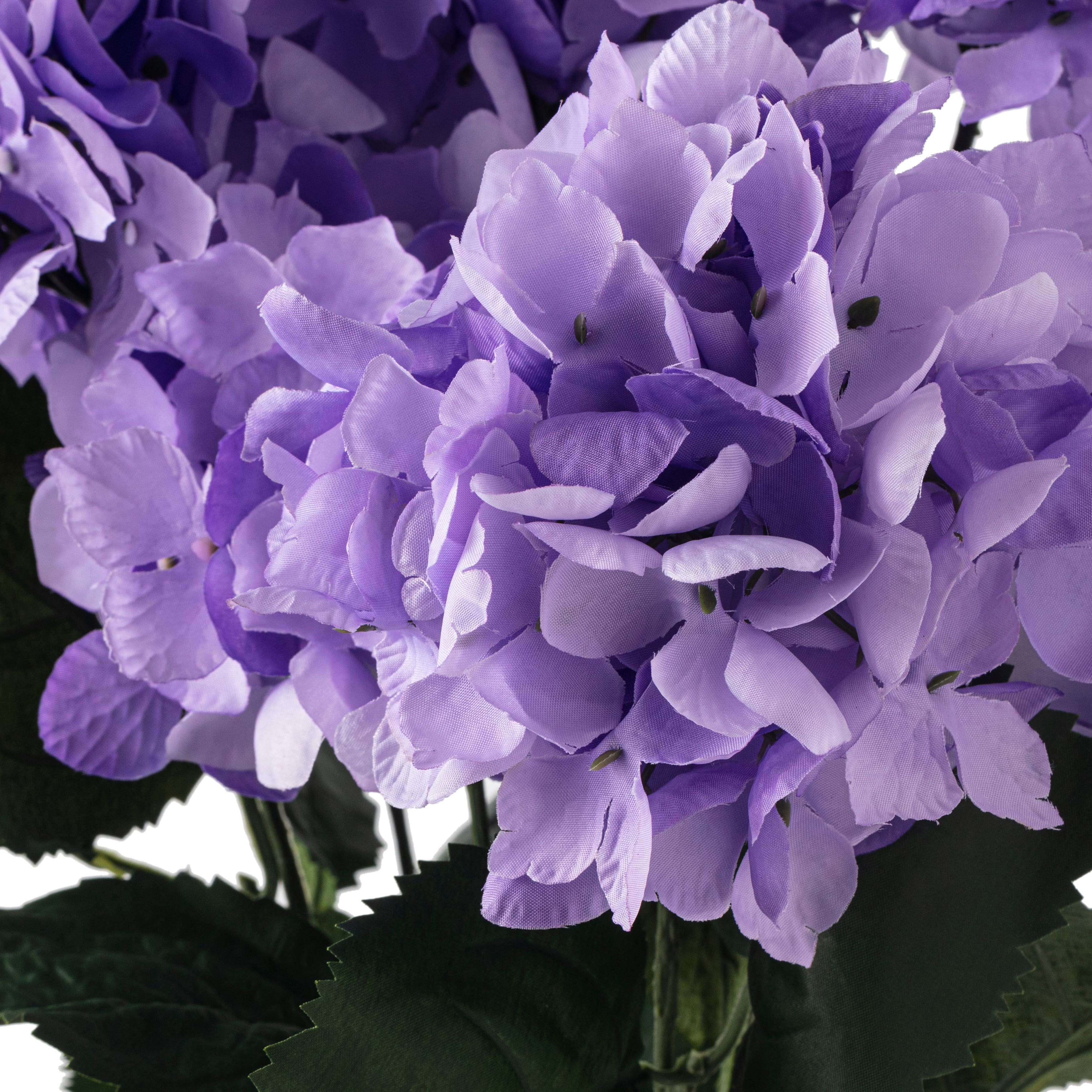 12 Pack: Purple Hydrangea Bush by Ashland®
