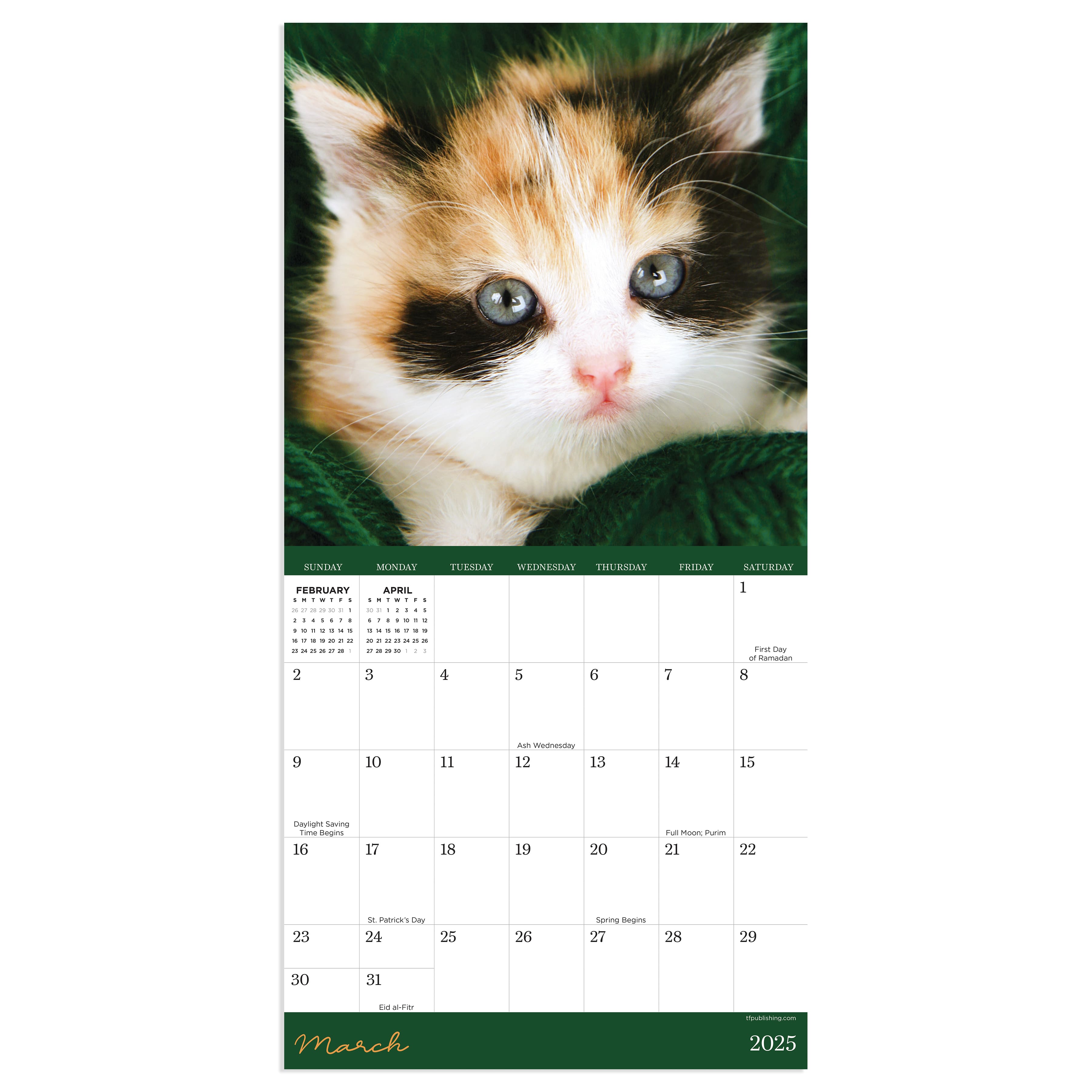 TF Publishing 2025 Kittens Mini Calendar
