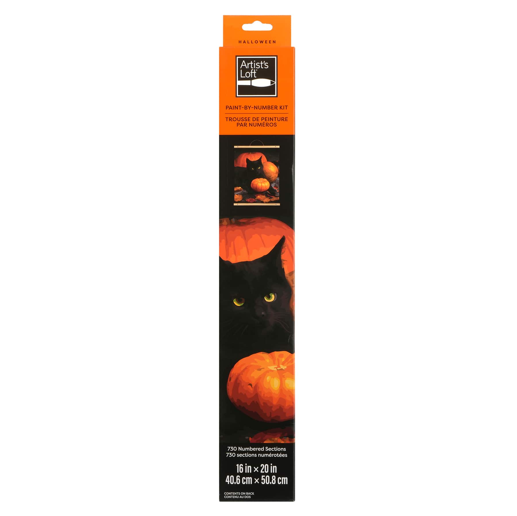 16&#x22; x 20&#x22; Cat with Pumpkin Paint-by-Number Kit with Wood Display Hanger by Artist&#x27;s Loft&#xAE;