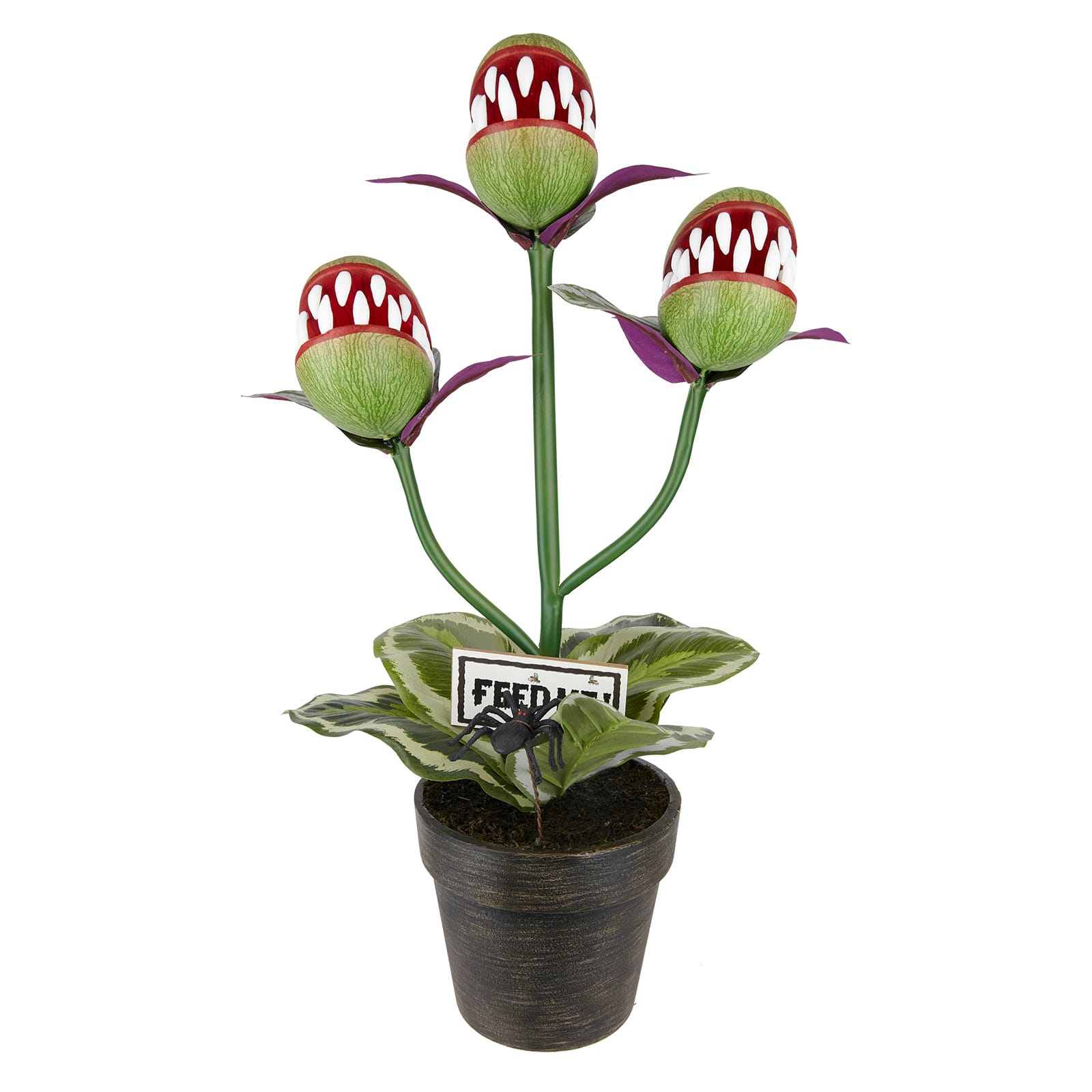24&#x22; Venus Flytrap Trio in Rustic Black Pot by Ashland&#xAE;