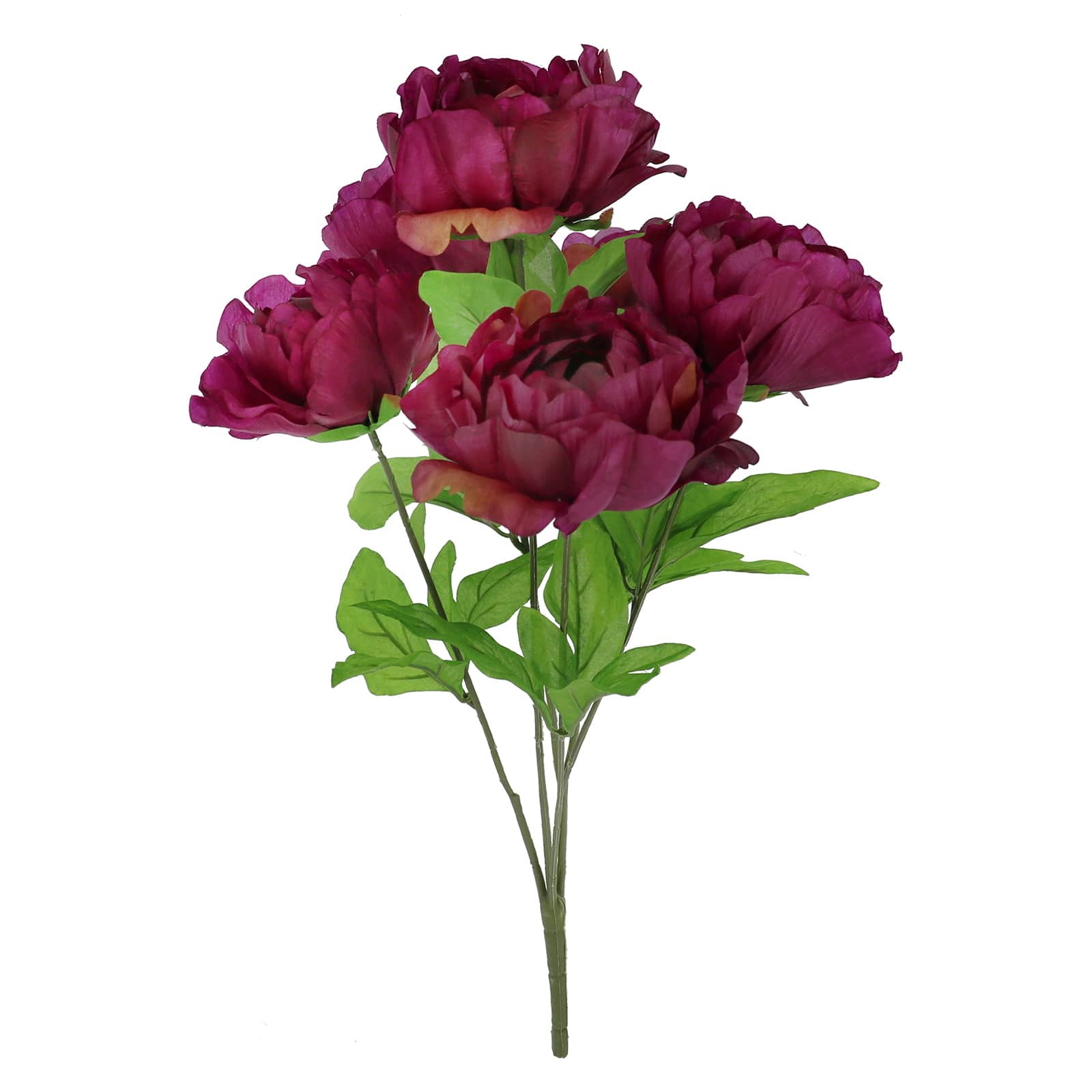 20&#x22; Peony Bush by Ashland&#xAE;