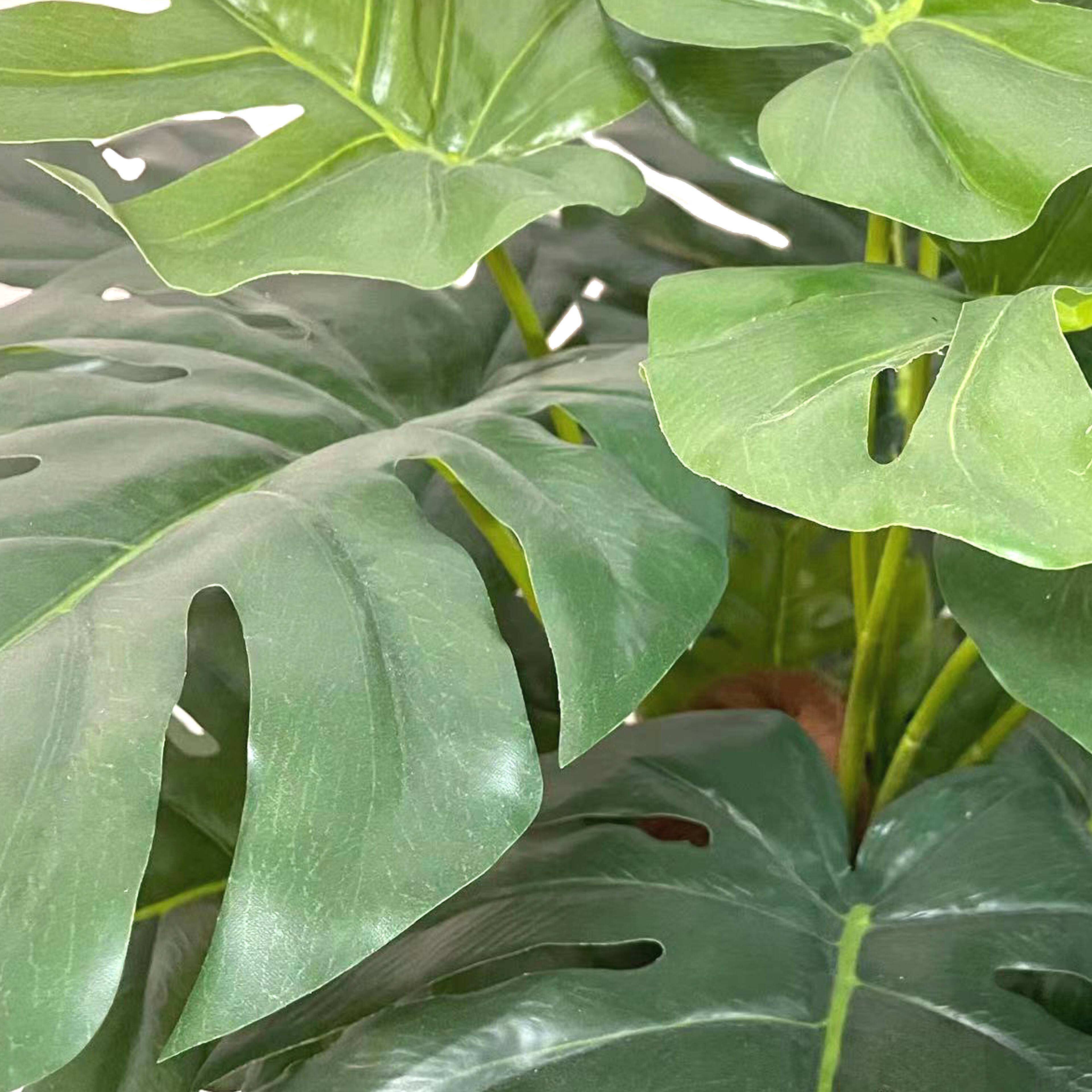 4ft. Potted Philo Tree by Ashland®