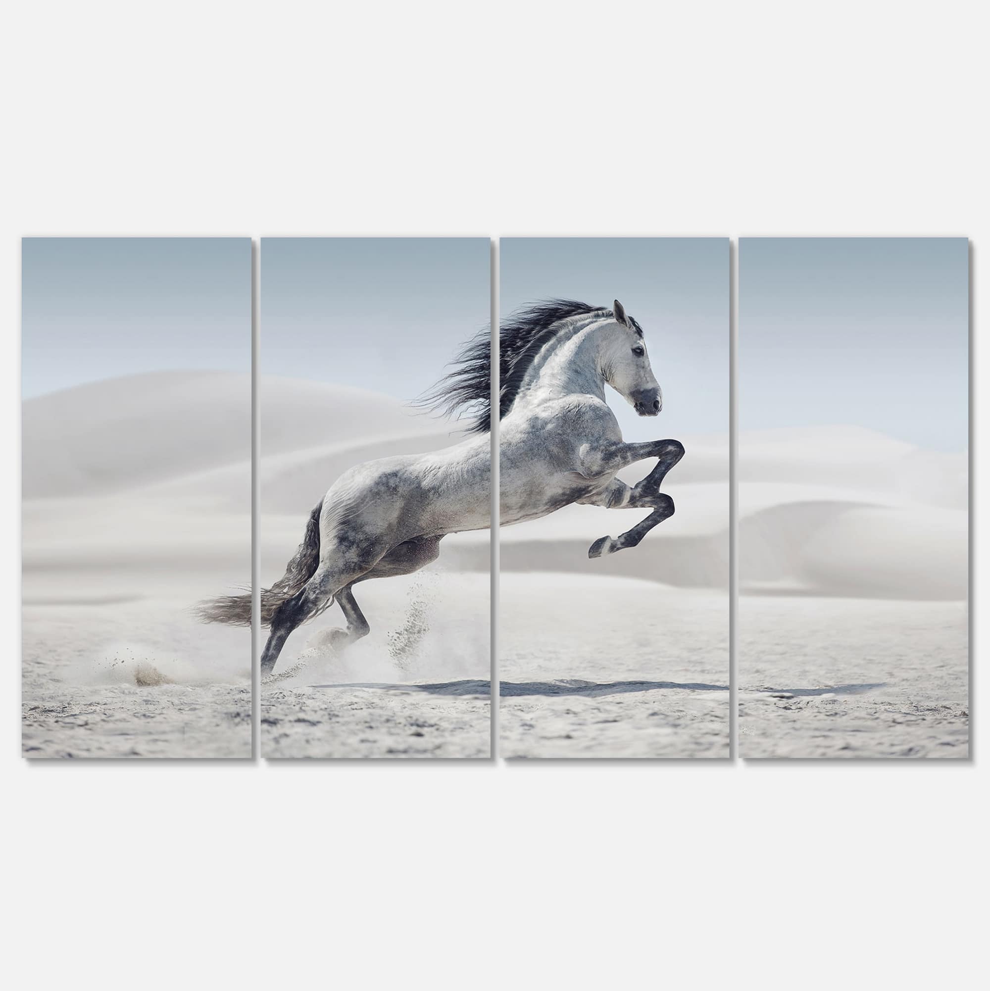 Designart - Galloping White Horse - Animal Canvas Wall Art