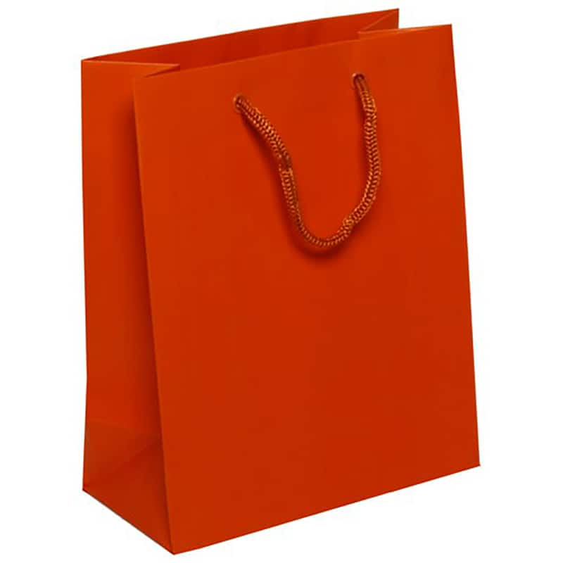 JAM Paper Medium Gift Bags with Rope Handles, 3ct.