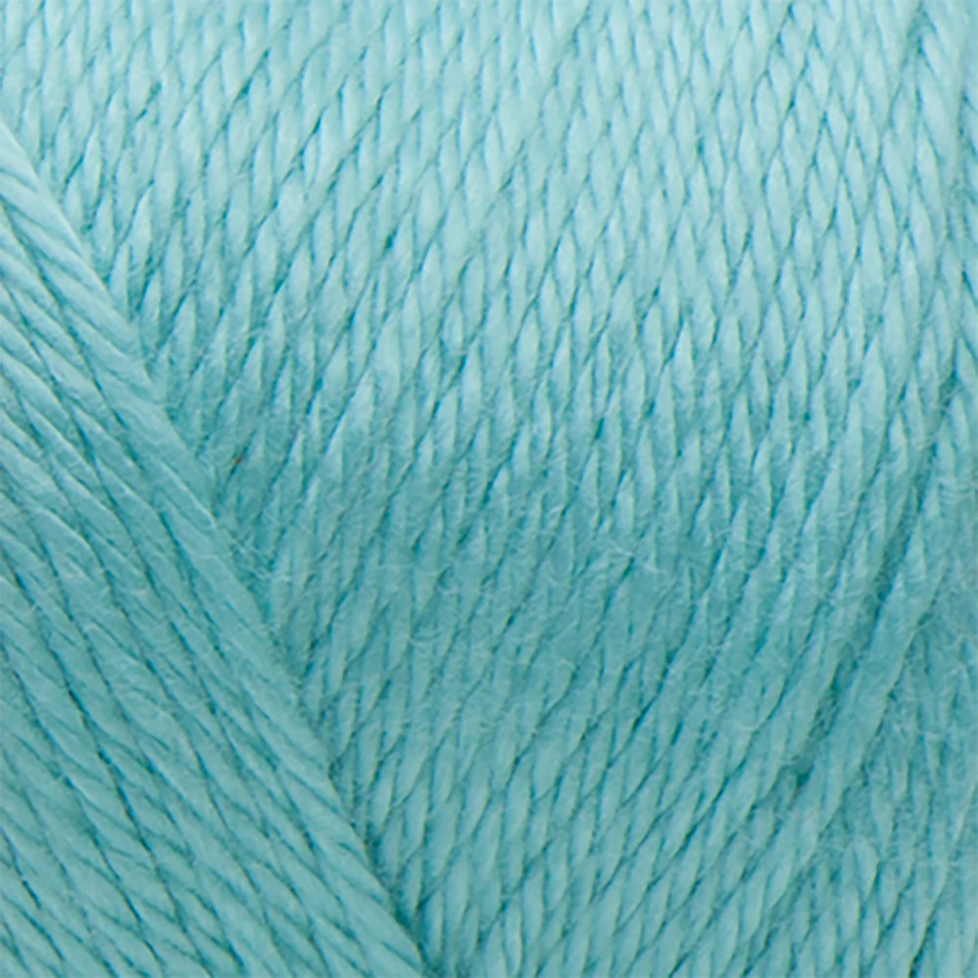Caron&#xAE; Simply Soft&#xAE; Solid Yarn