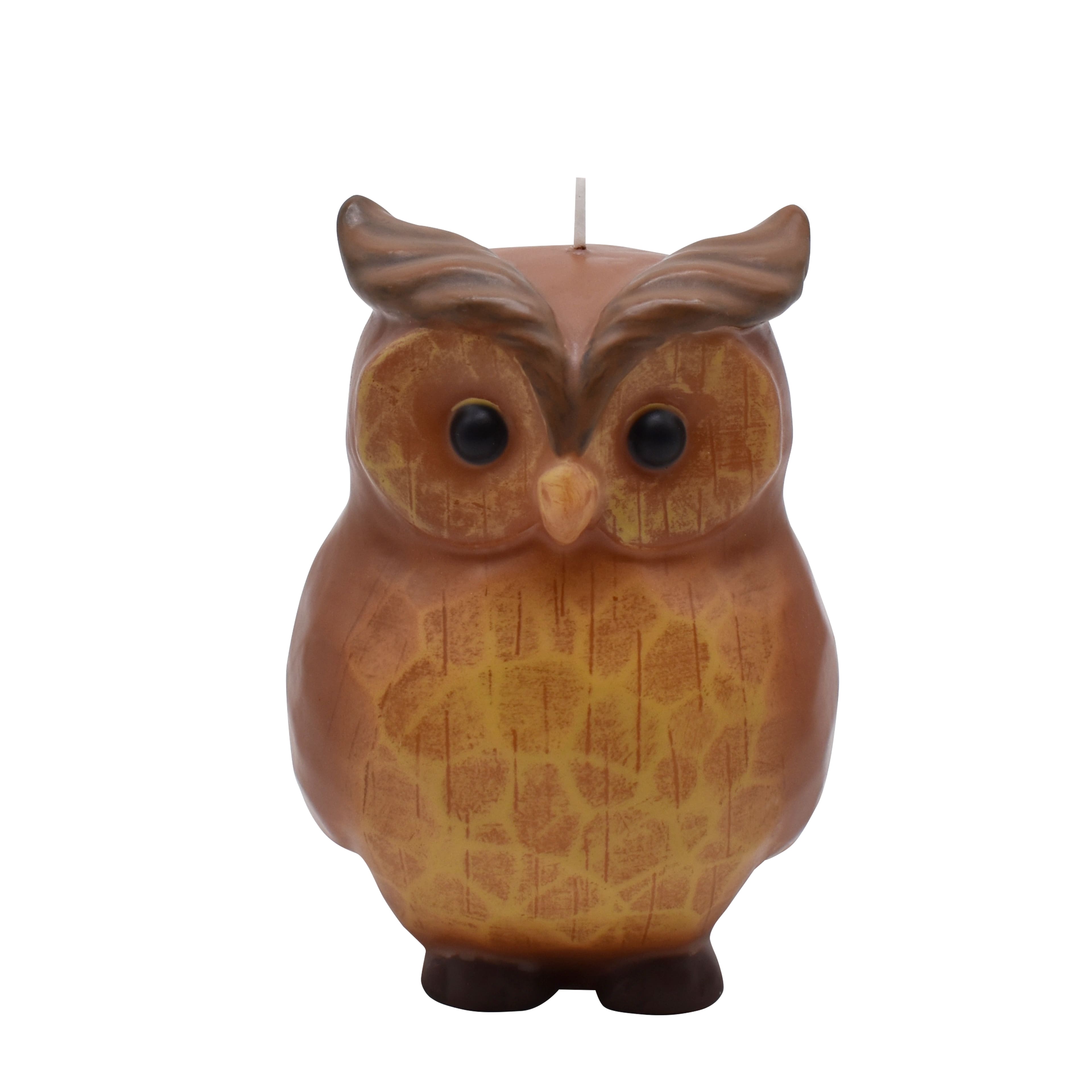 4.75&#x22; Owl Unscented Candle by Ashland&#xAE;