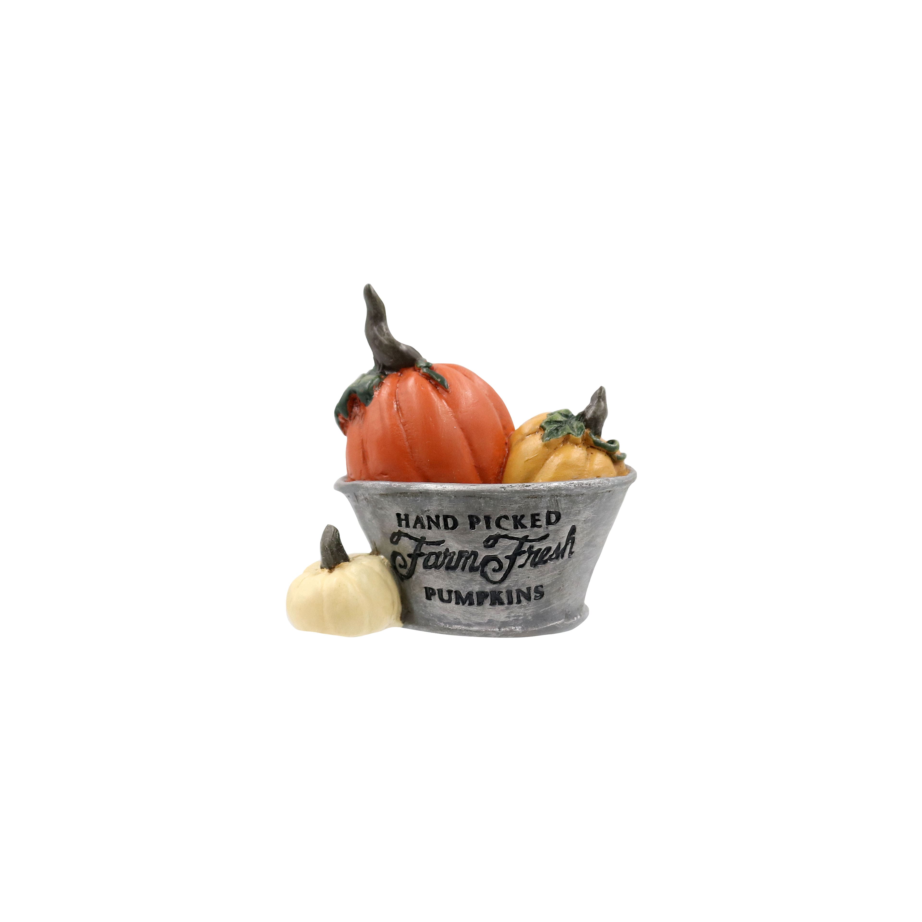 Mini Bucket of Pumpkins by Ashland&#xAE;