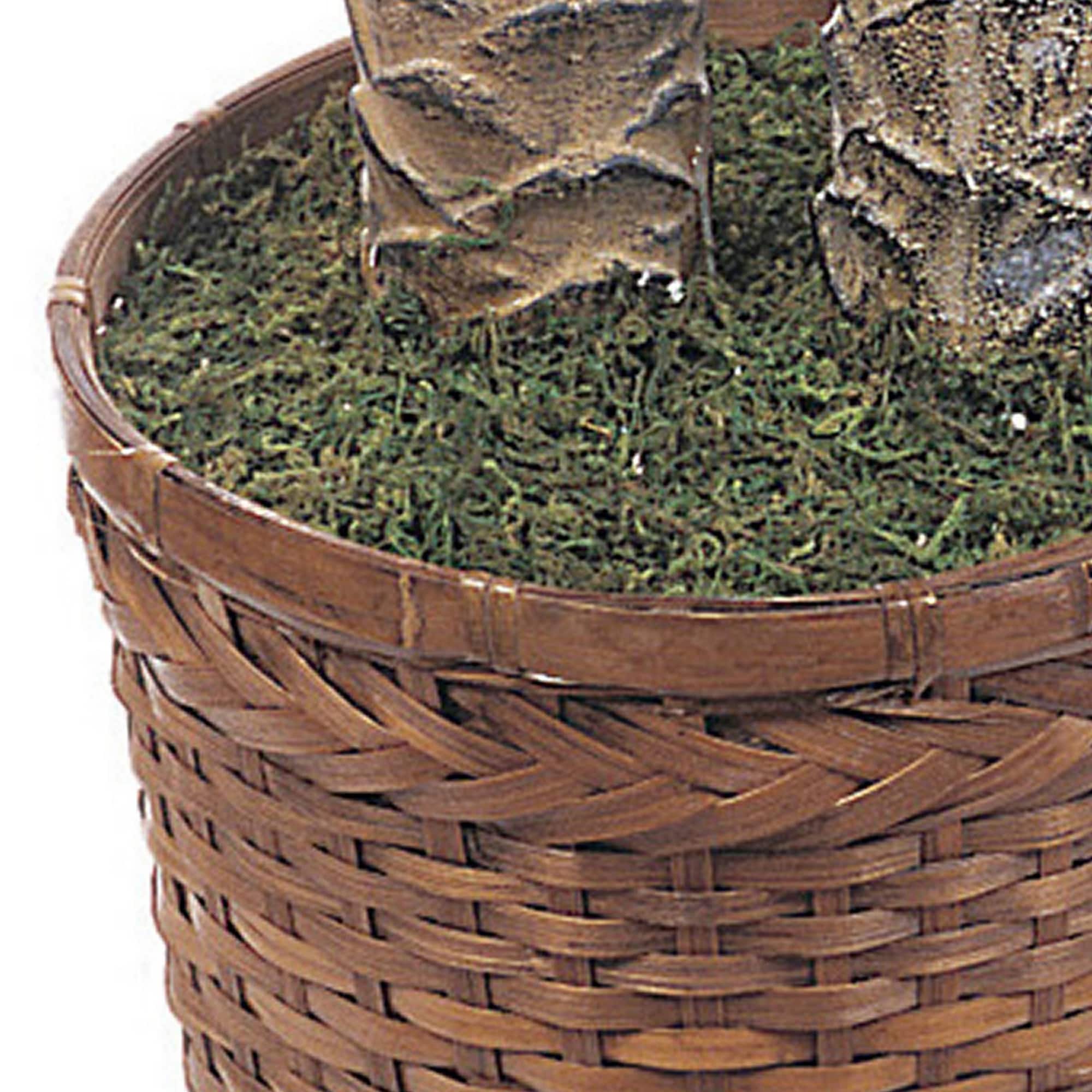 6ft. Sago Palm Double Tree in Wicker Basket Pot