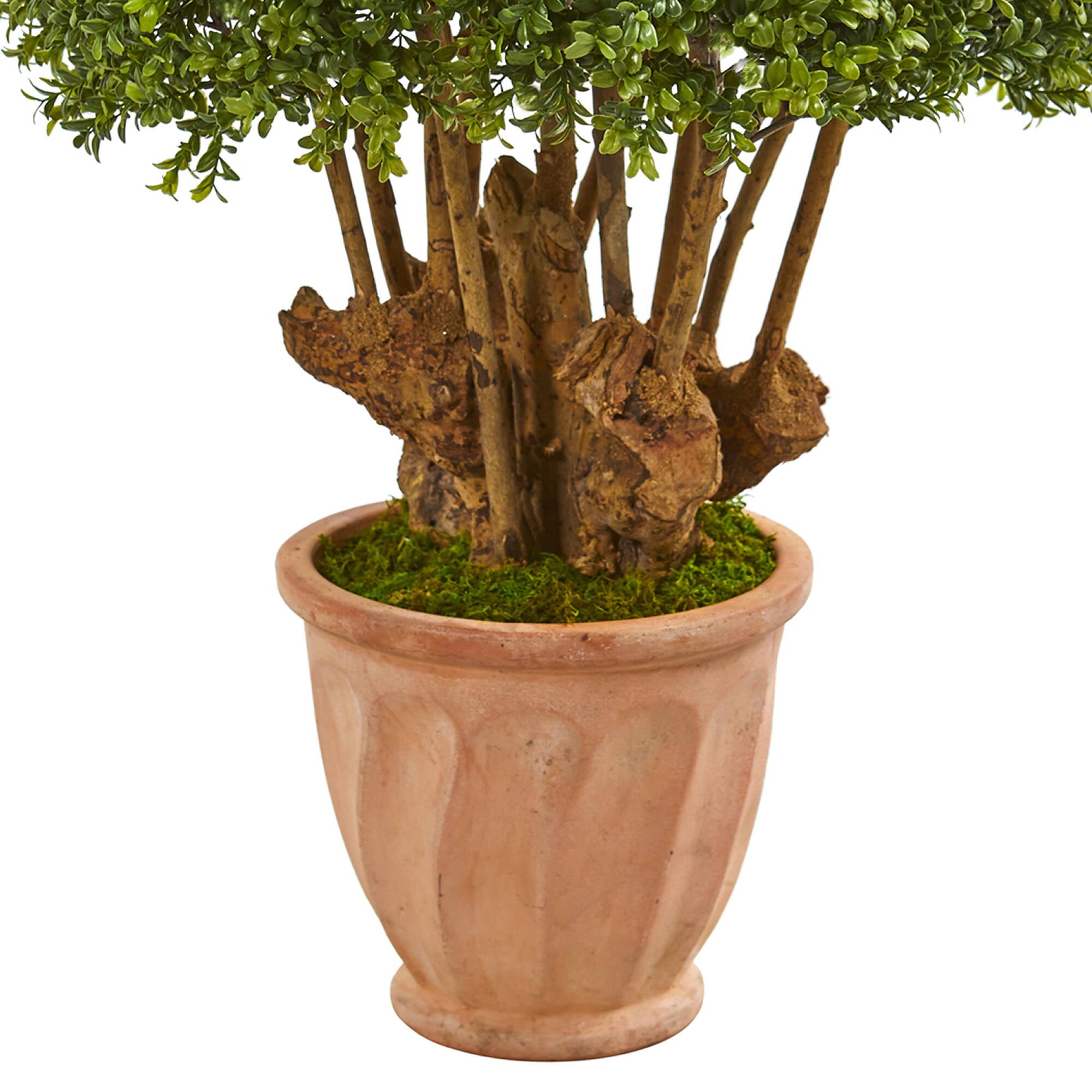 3.3ft. Boxwood Artificial Topiary Tree in Terracotta Planter
