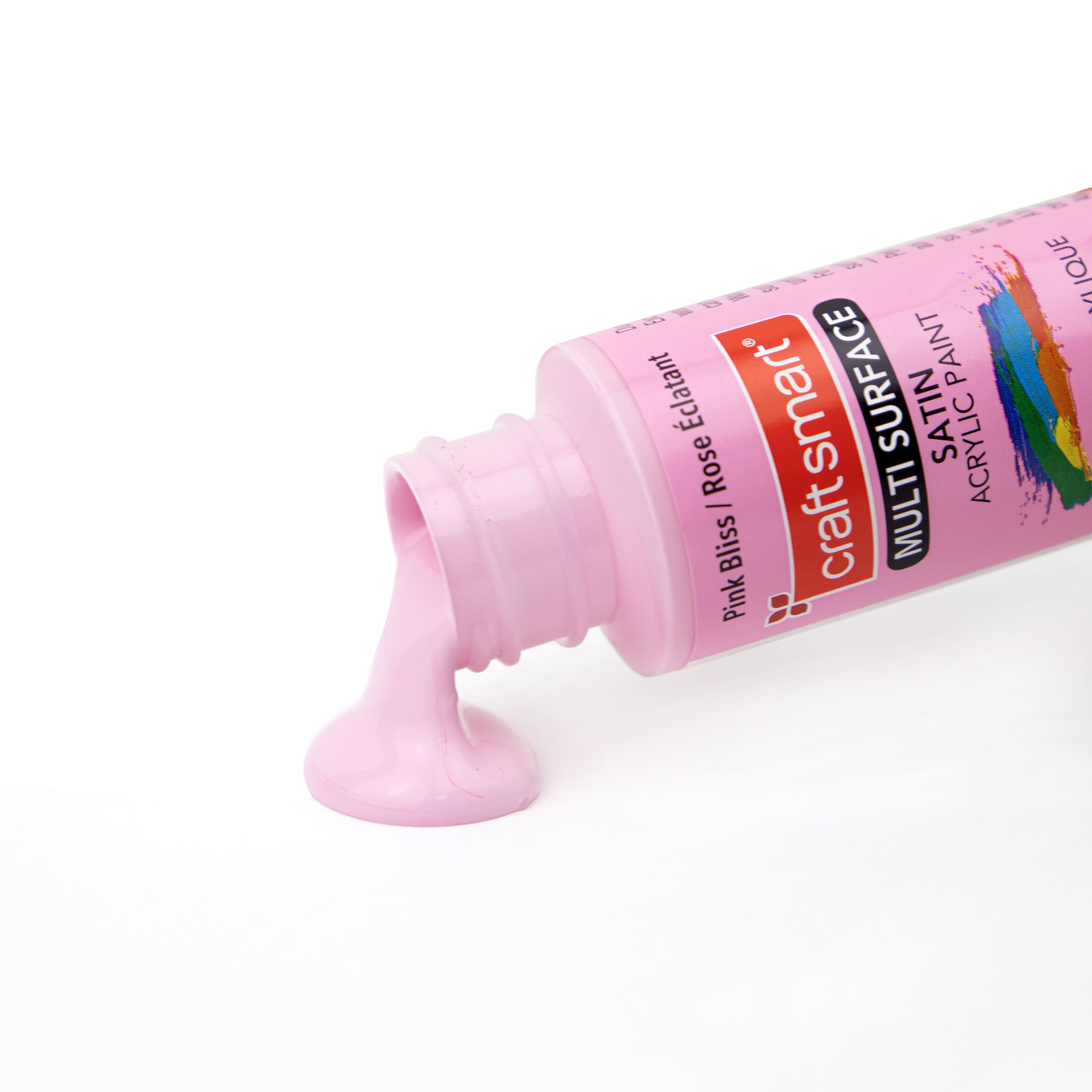 12 Pack: Multi-Surface Premium Satin Acrylic Paint by Craft Smart®