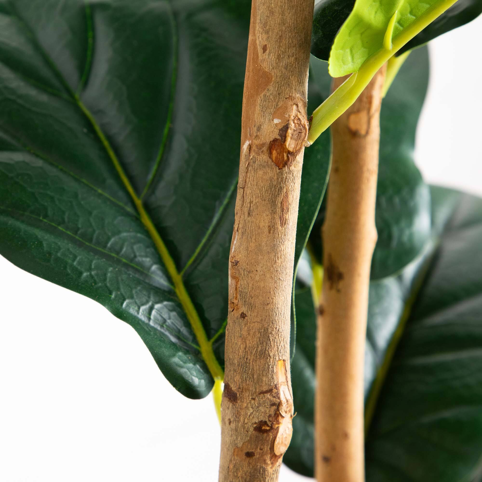 6ft. Fiddle Leaf Tree in Decorative White Planter