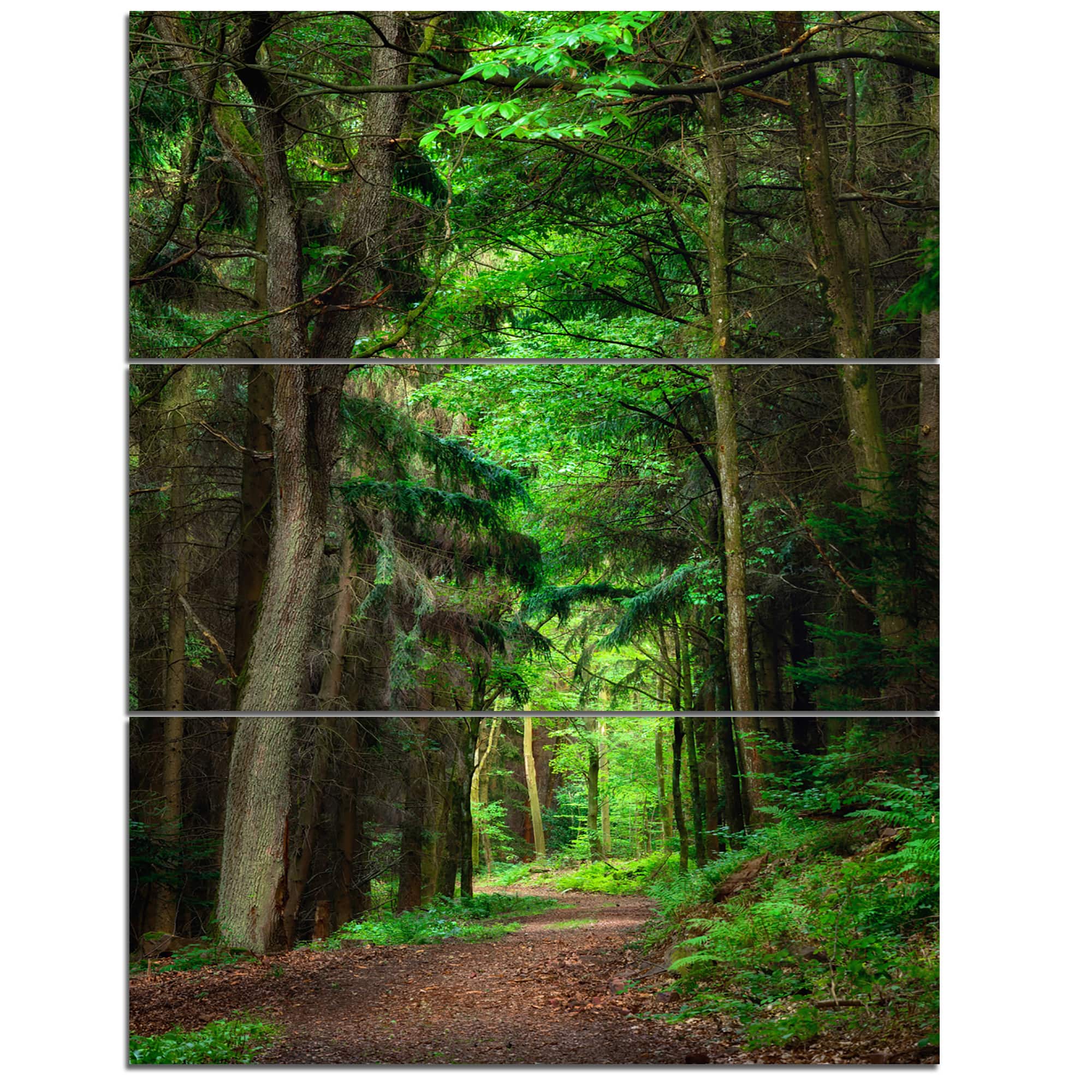 Designart - Dreamy Greenery in Dense Forest - Forest Canvas Art Print