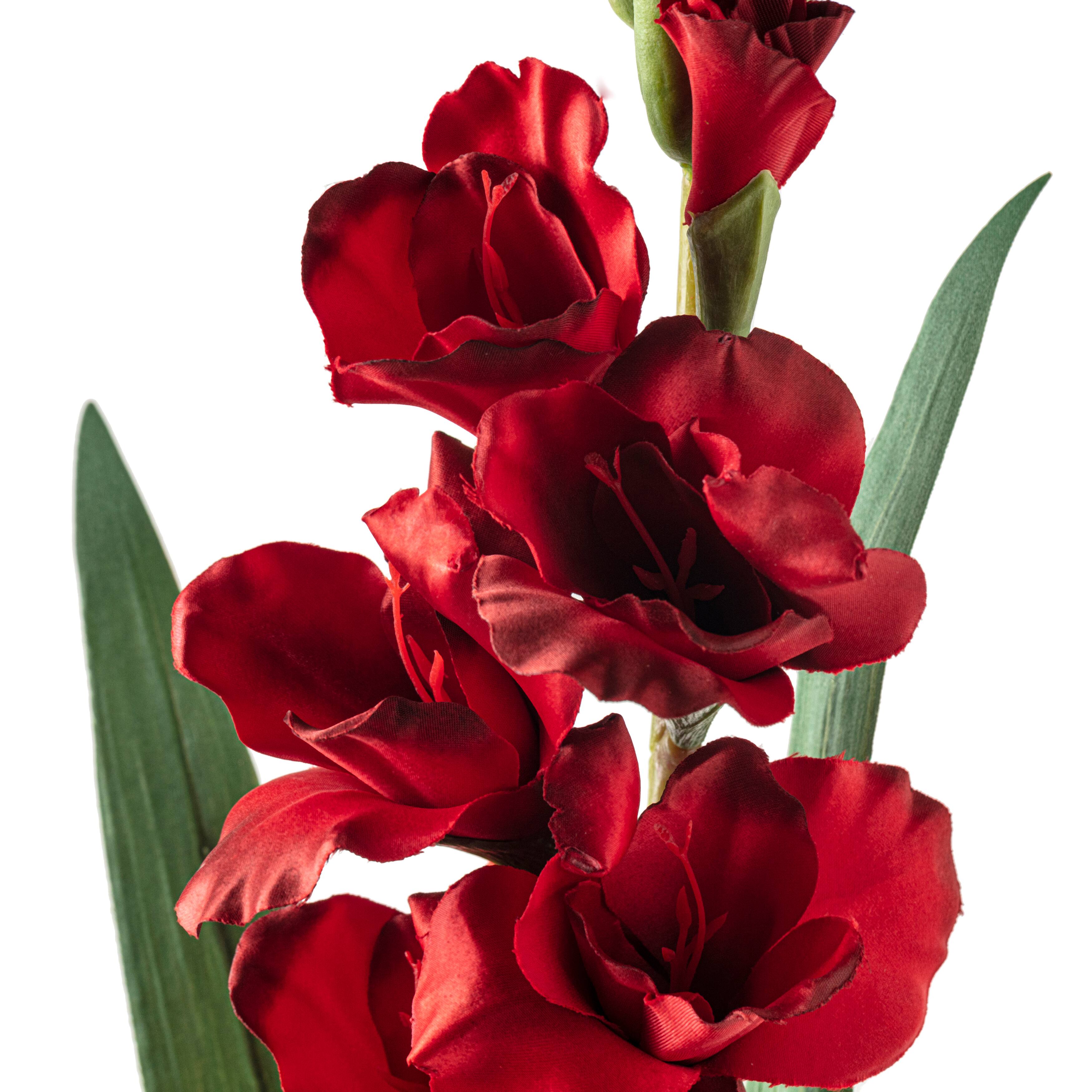 12 Pack: Dark Red Gladiolus Stem by Ashland&#xAE;