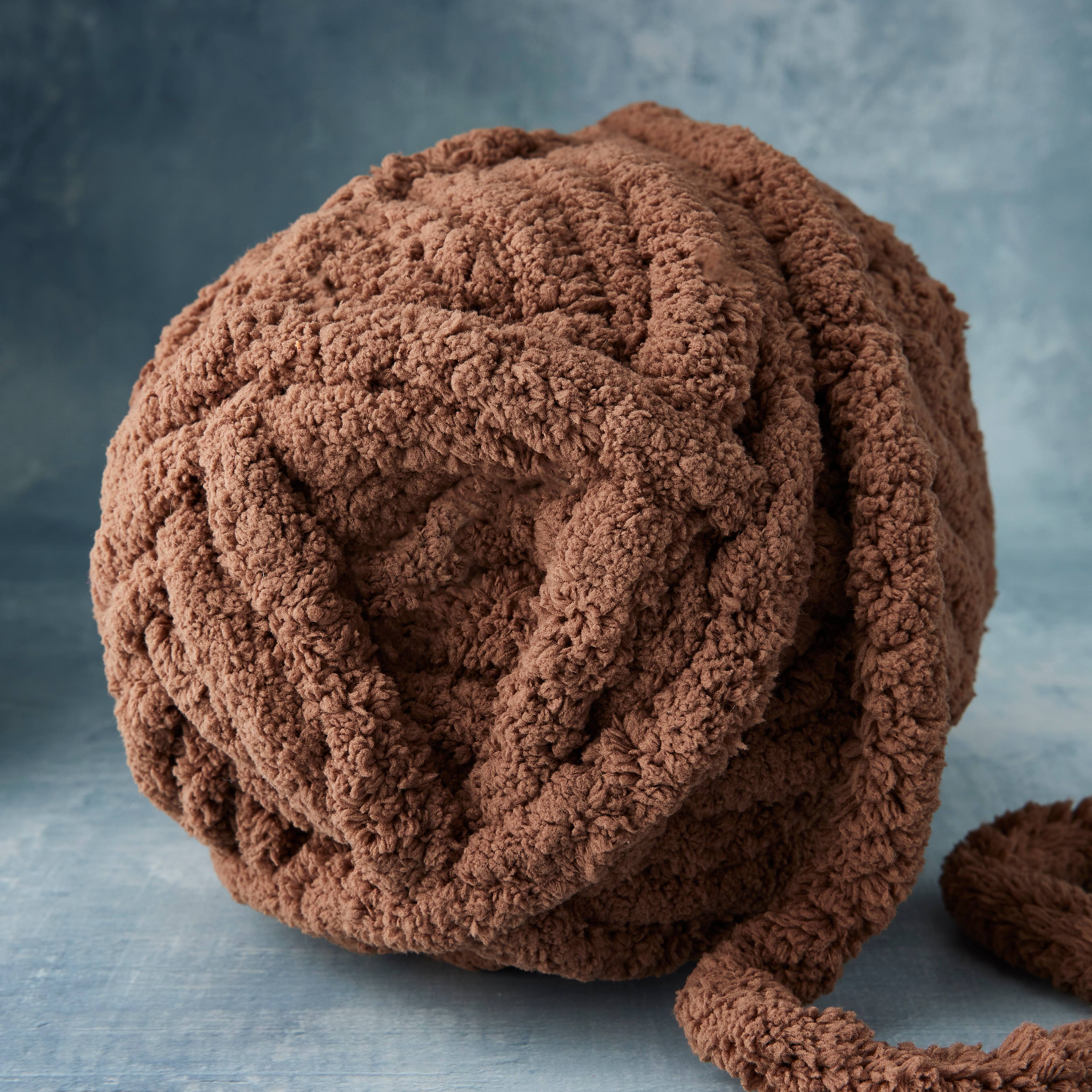 Bernat® Blanket Big™ Yarn