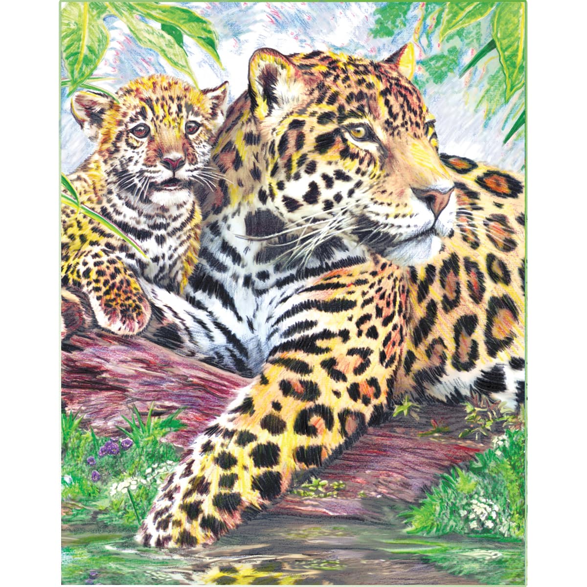 Royal &#x26; Langnickel&#xAE; Jaguars by the Pool Colour Pencil&#x2122; by Number Kit