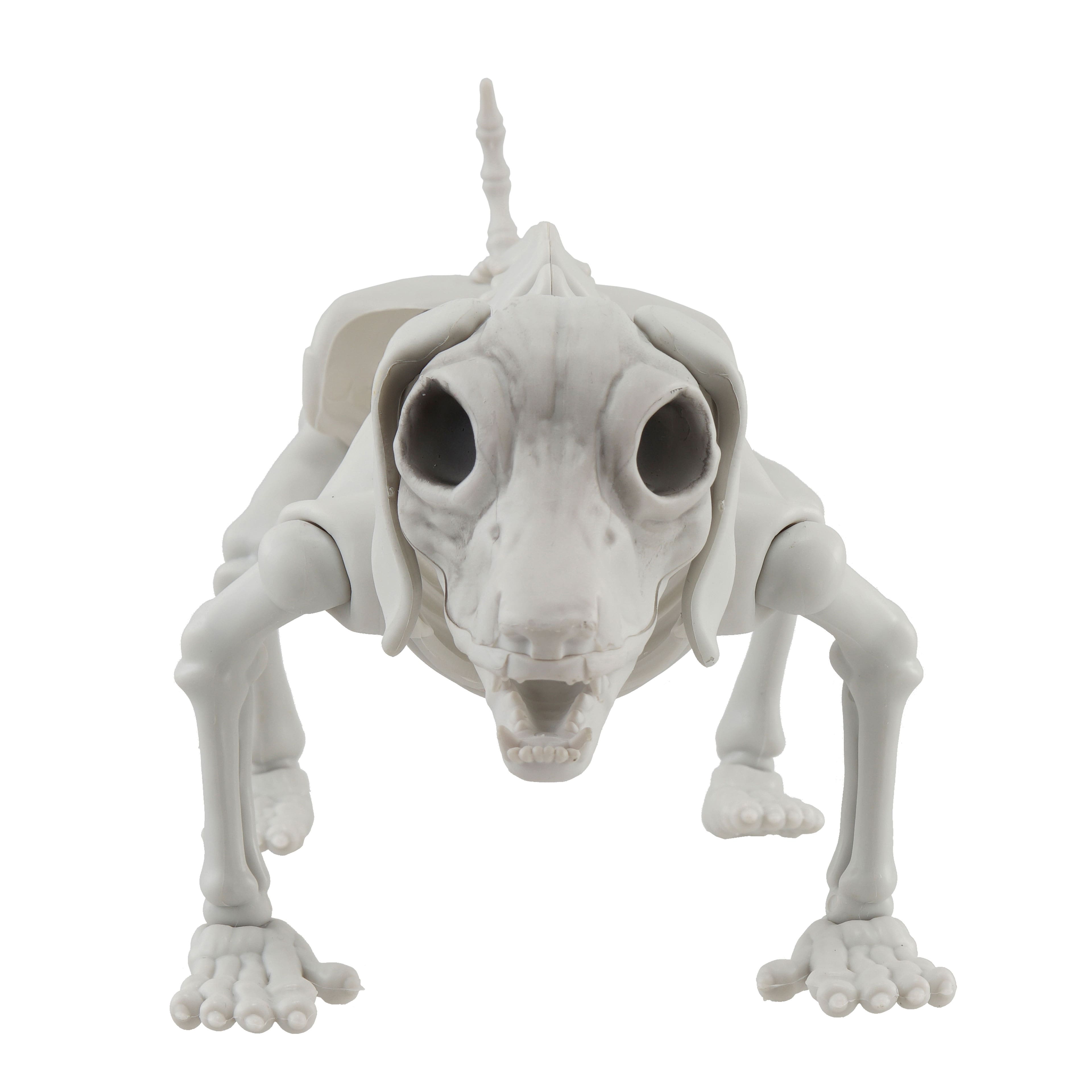 12.5&#x22; Dog Skeleton by Ashland&#xAE;