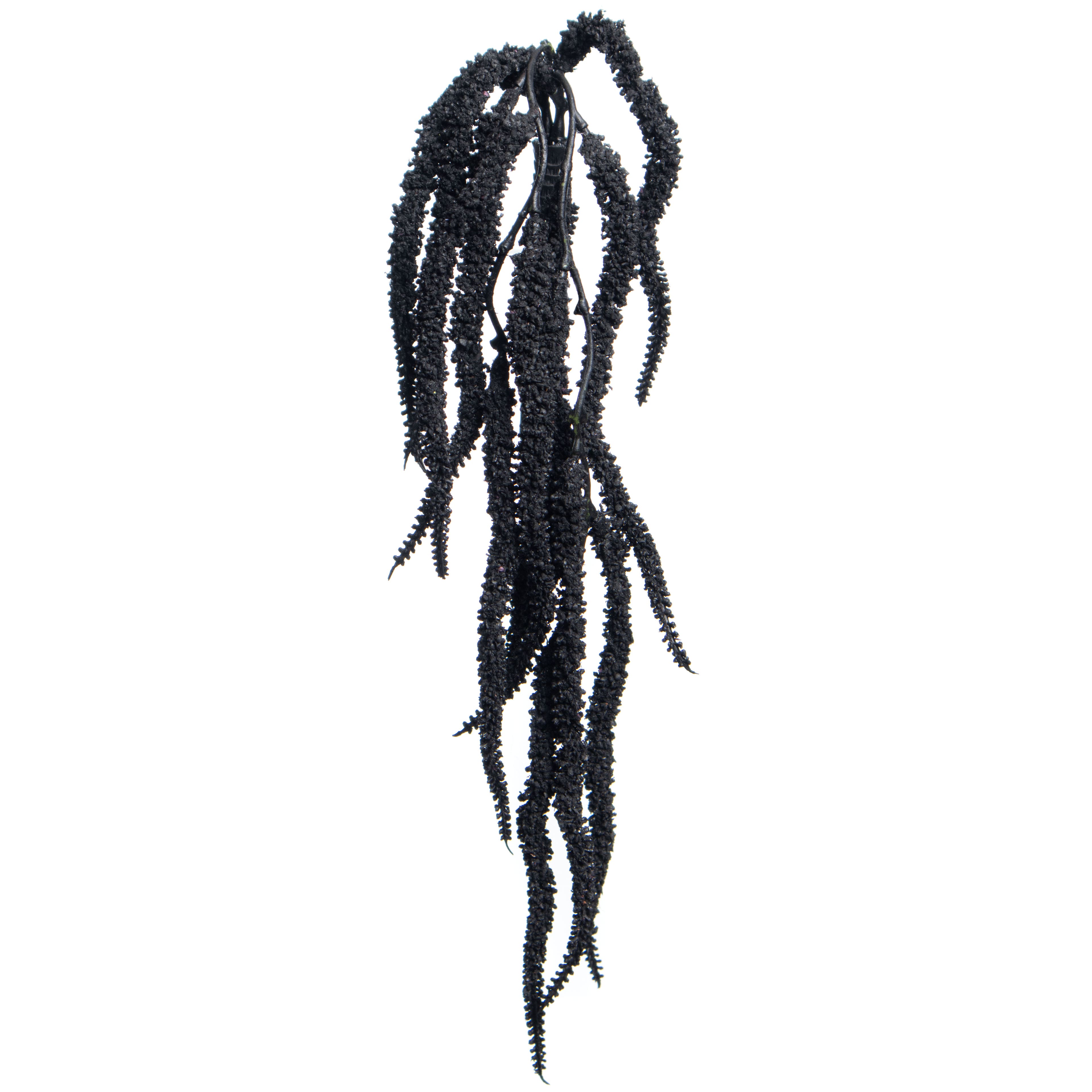 17" Amaranth Pick by Ashland®