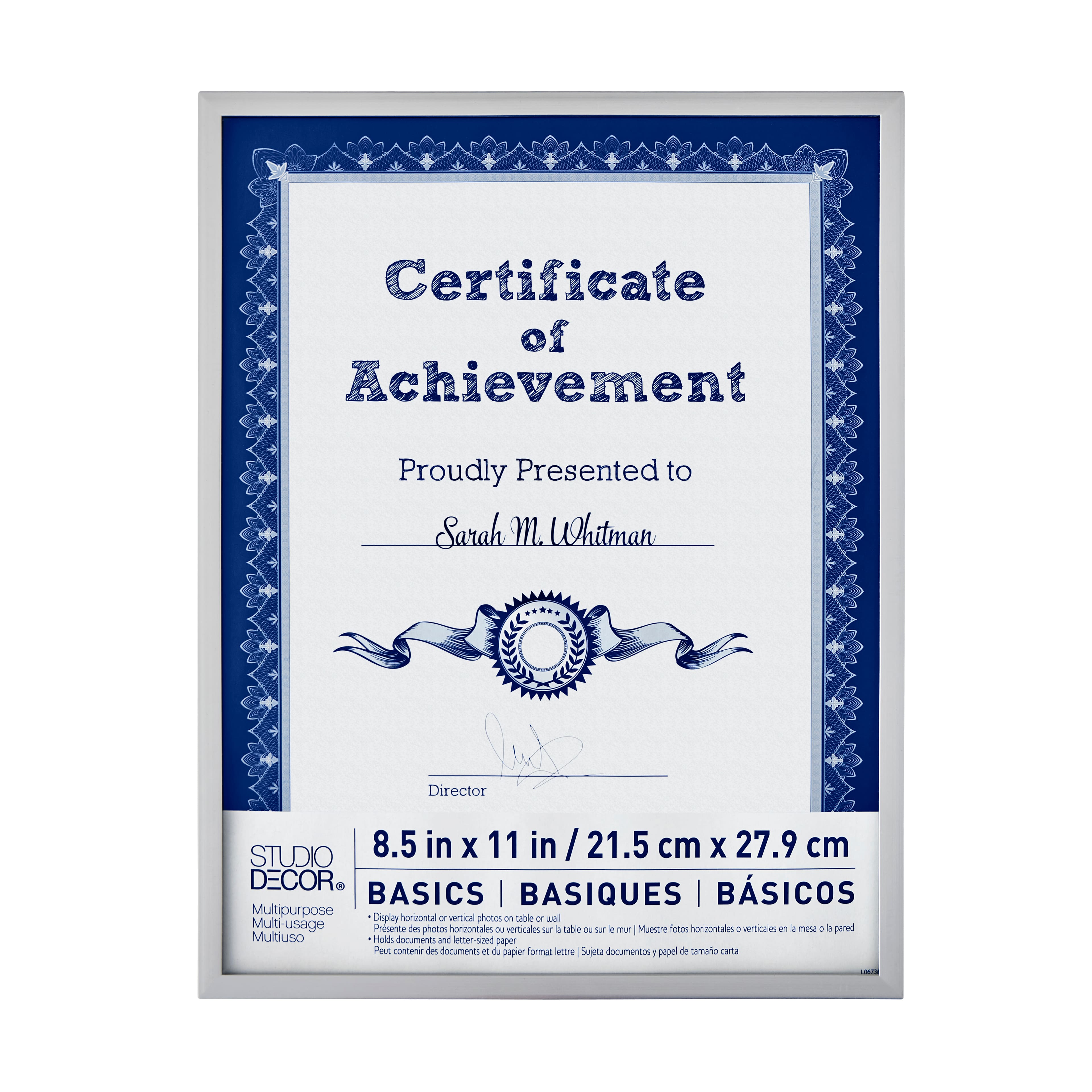 Basics Silver Multipurpose Frame by Studio D&#xE9;cor&#xAE;