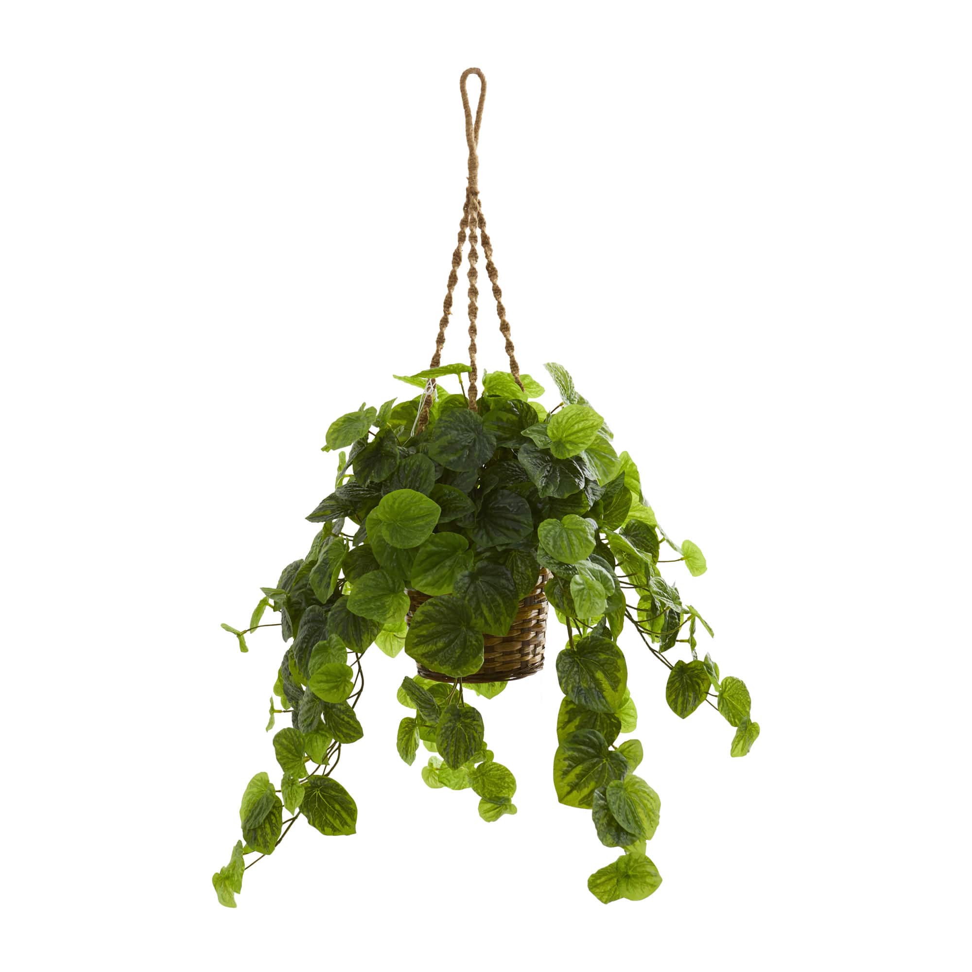2.8ft. Peperomia Artificial Plant in Hanging Basket Michaels 2.8ft. Peperomia Artificial Plant in Hanging Basket Michaels