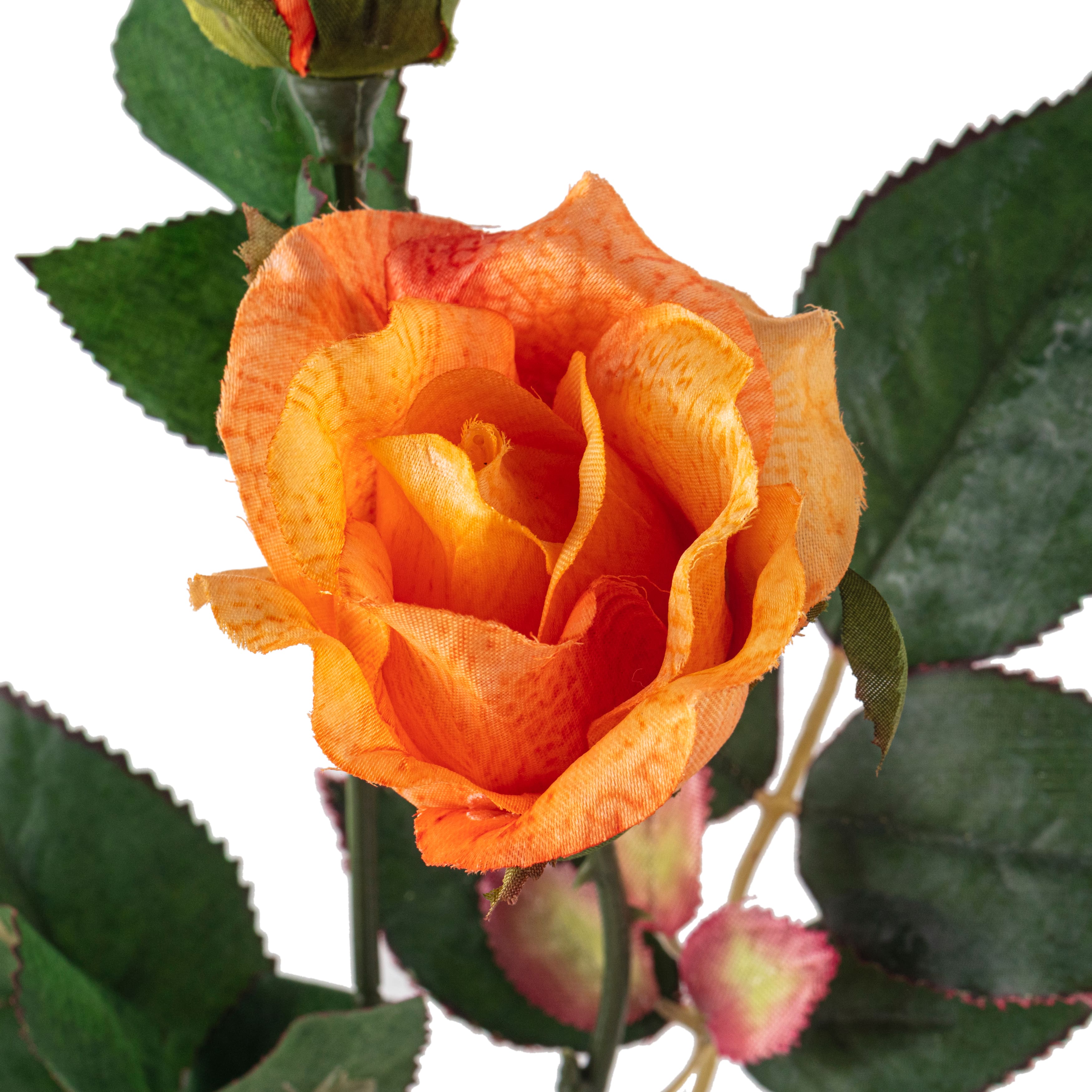 Rose Spray by Ashland&#xAE;