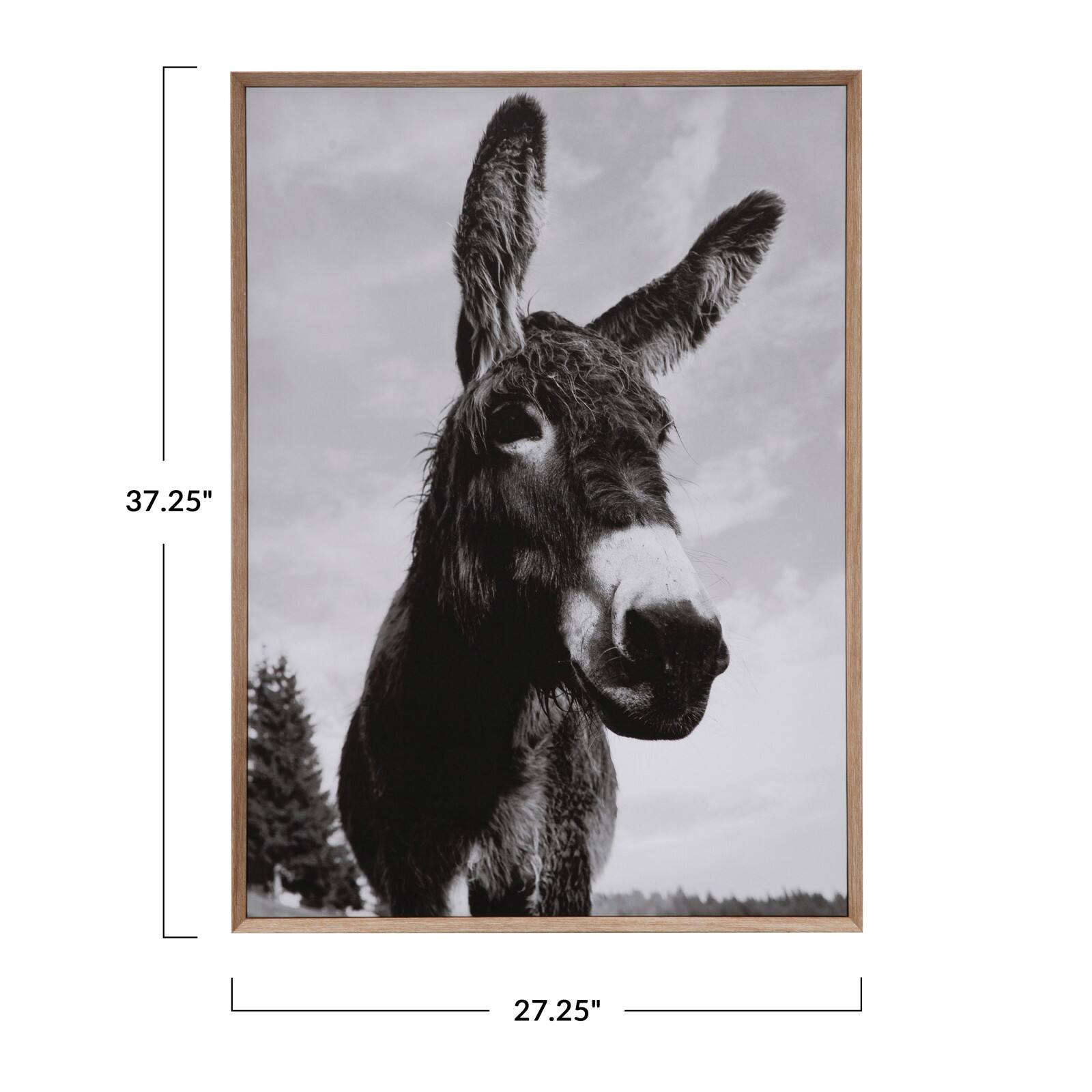 Hello Honey® Wood & Canvas Donkey Wall Plaque