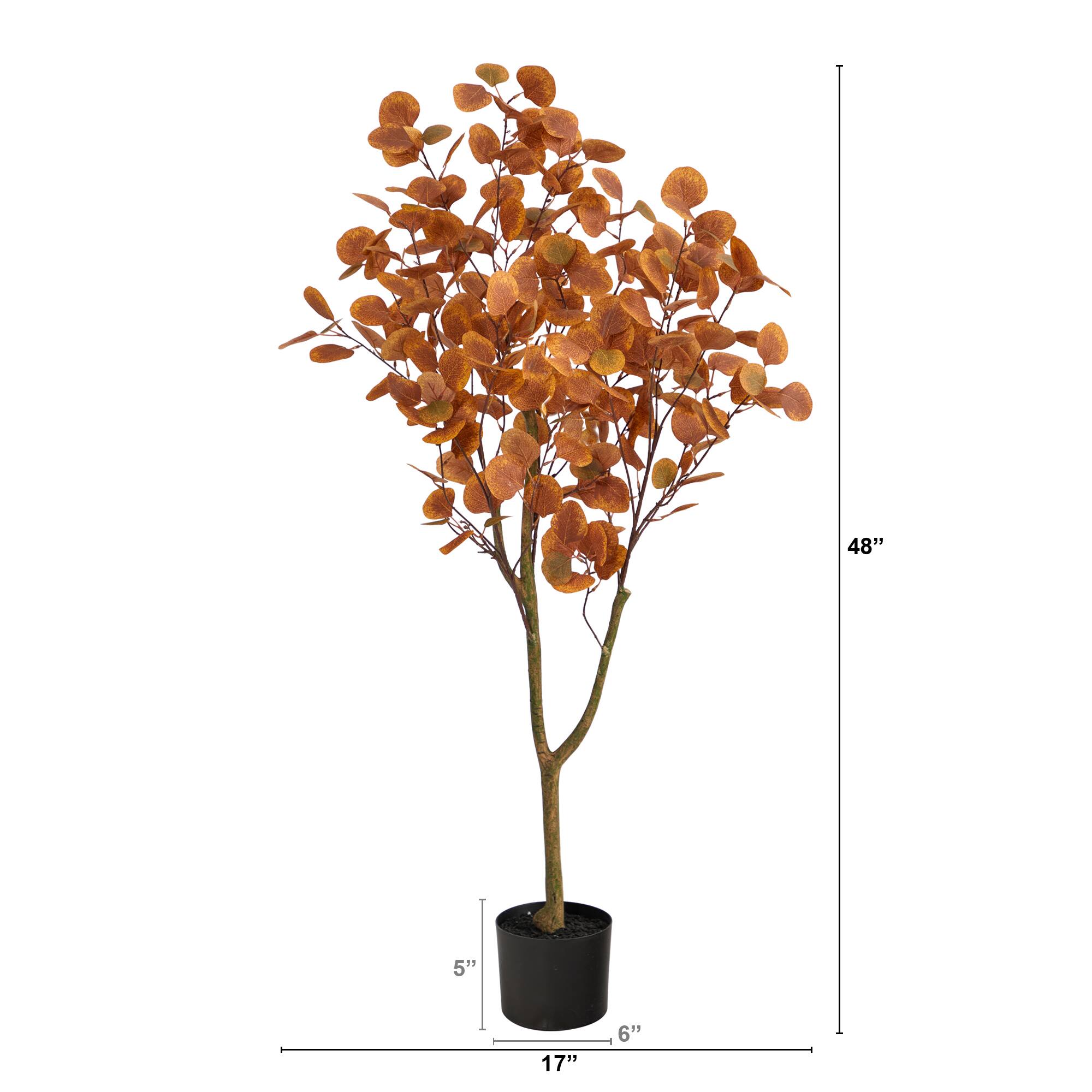 4ft. Potted Autumn Eucalyptus Tree