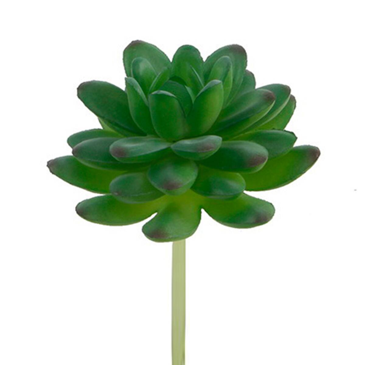 Flora Bunda&#xAE; Stonecrop Succulent Pick, 12ct.
