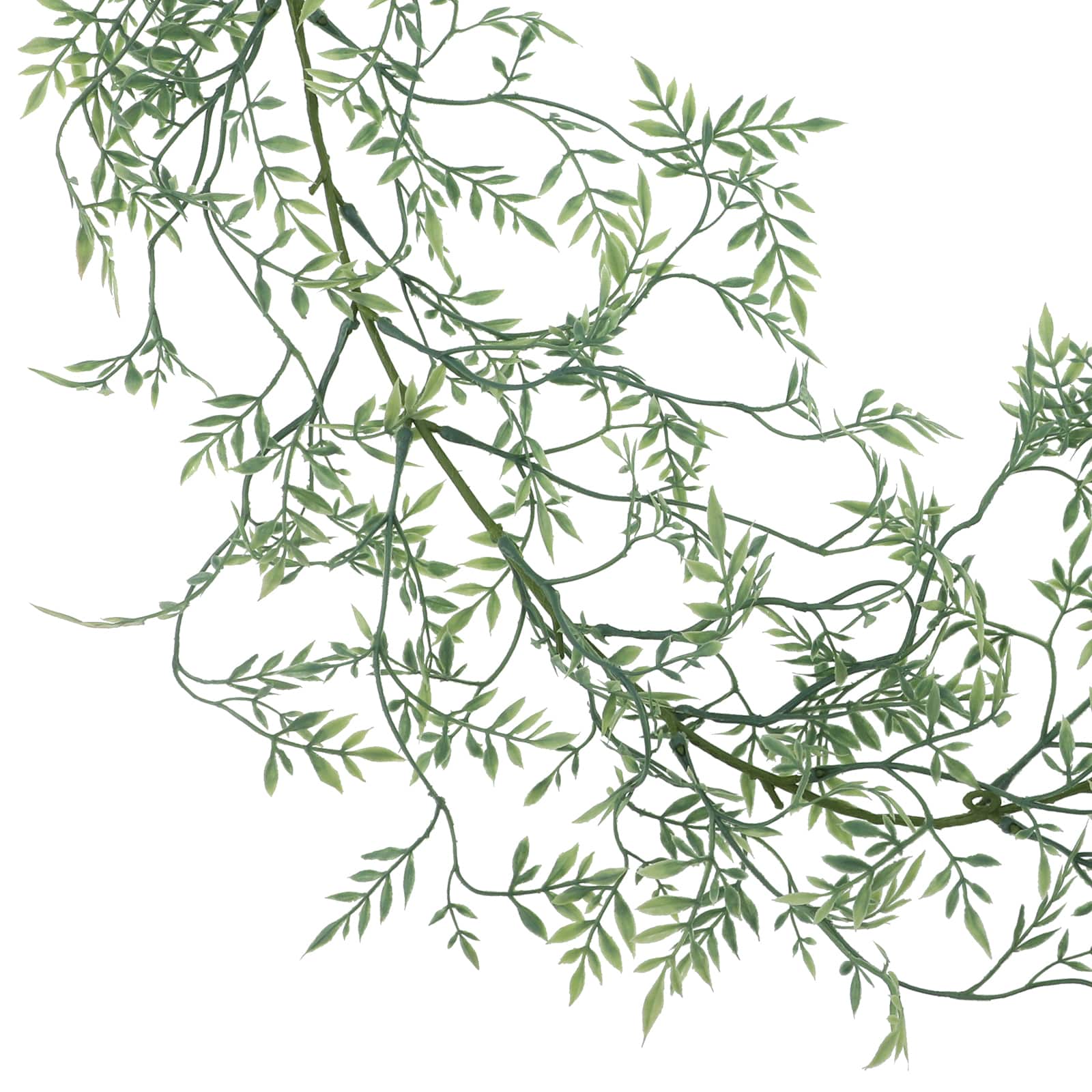 6ft. Green Ficus Garland by Ashland&#xAE;