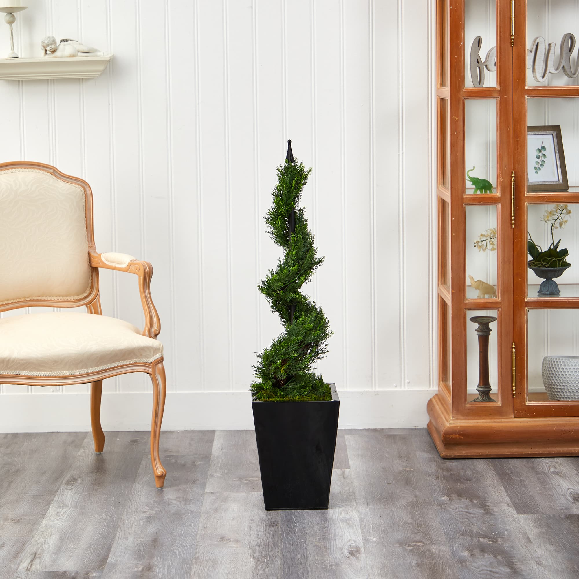 3.6ft. Spiral Cypress Topiary in Black Metal Planter