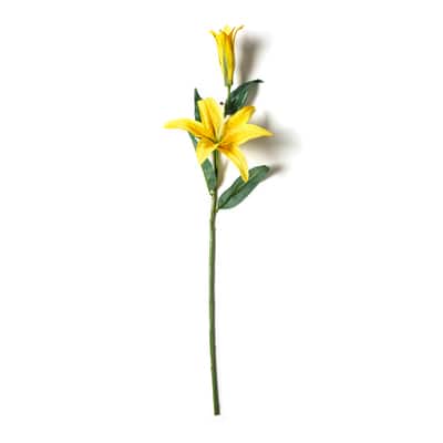 Casablanca Lily Stem by Ashland®, Color: Yellow | Michaels
