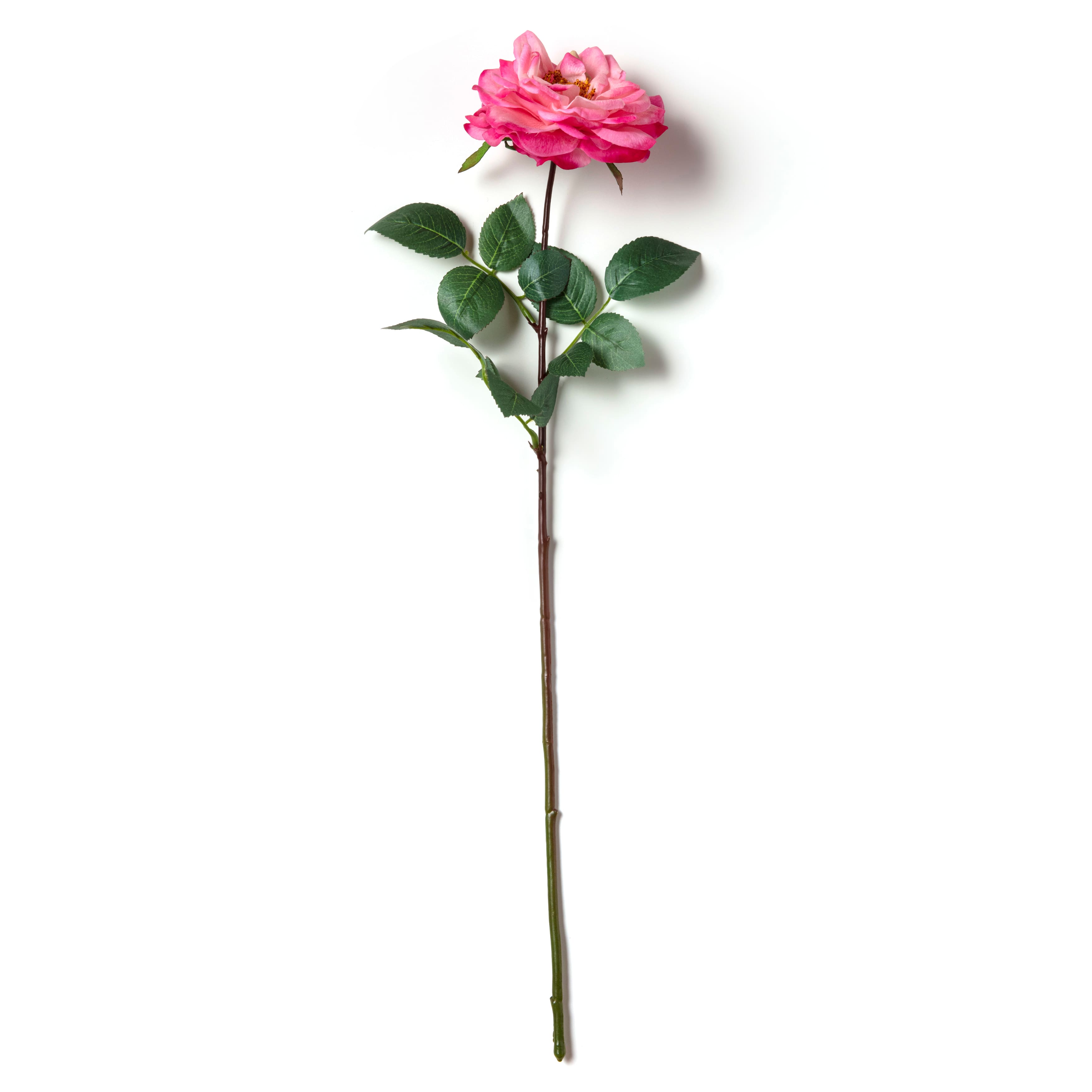 12 Pack: Pink Orlane Rose Stem by Ashland®