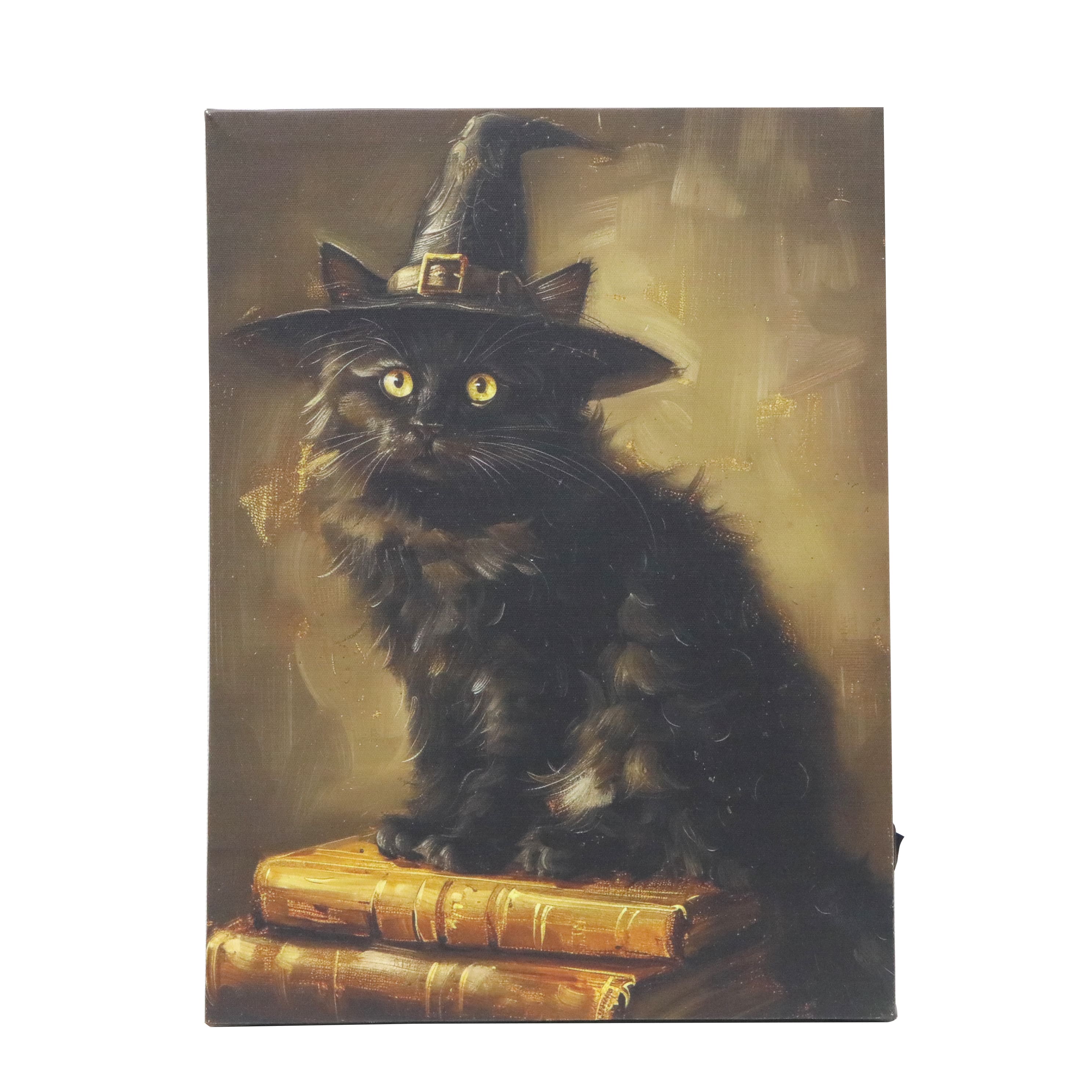 11.75" x 15.75" Witch Cat LED Wall Décor by Ashland®