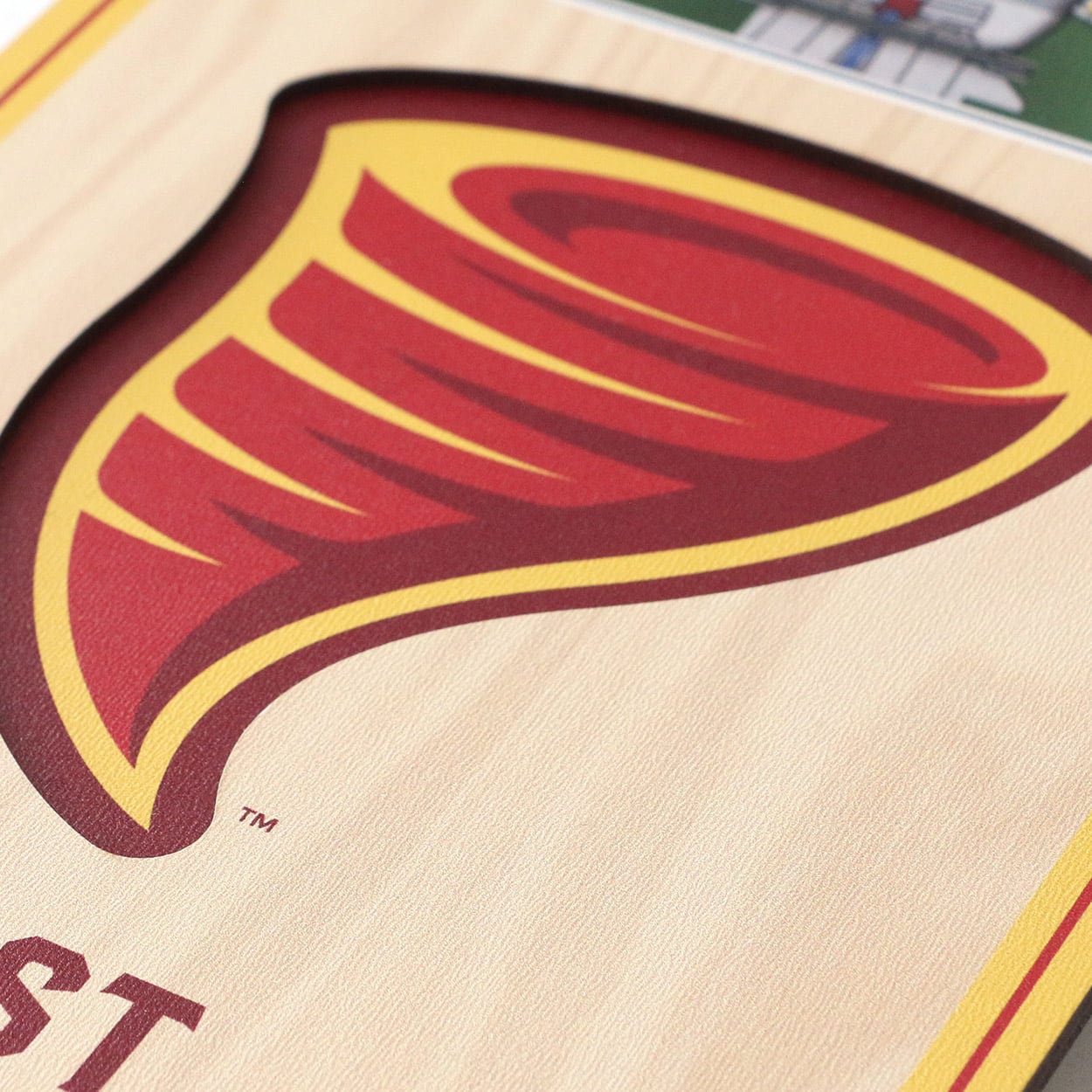 NCAA 6&#x22; x 19&#x22; StadiumView 3D Banner