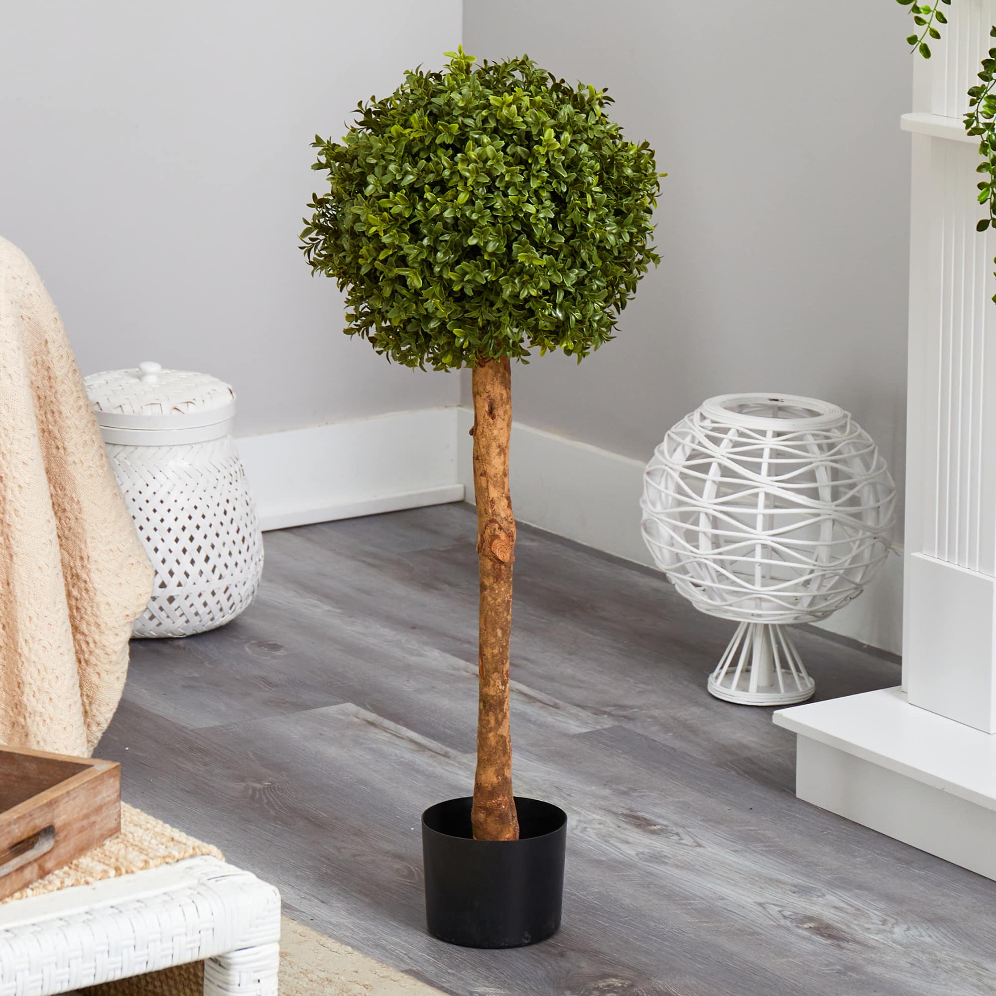 3ft. Potted Boxwood Ball Topiary Tree