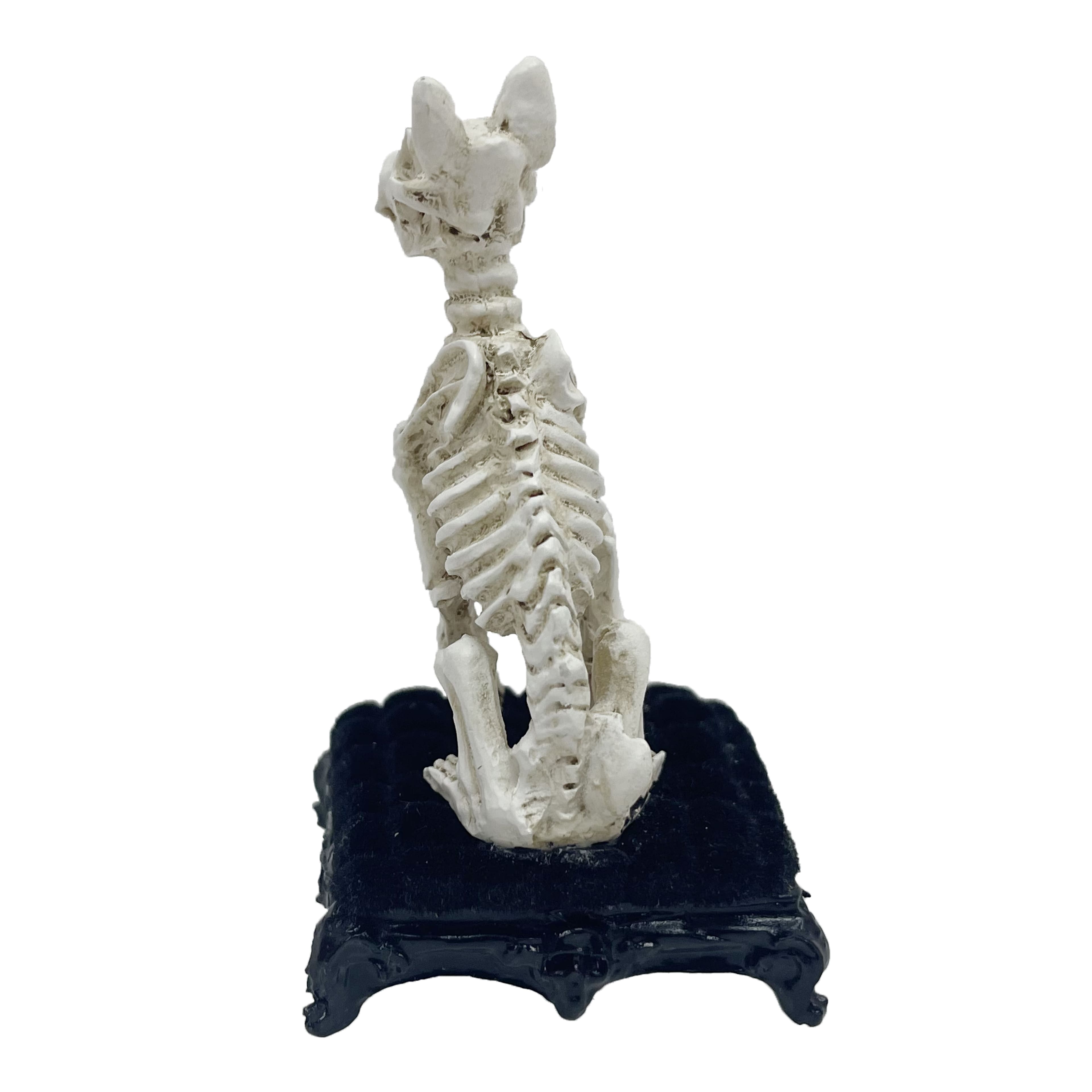 Mini Skeleton Dog by Ashland&#xAE;