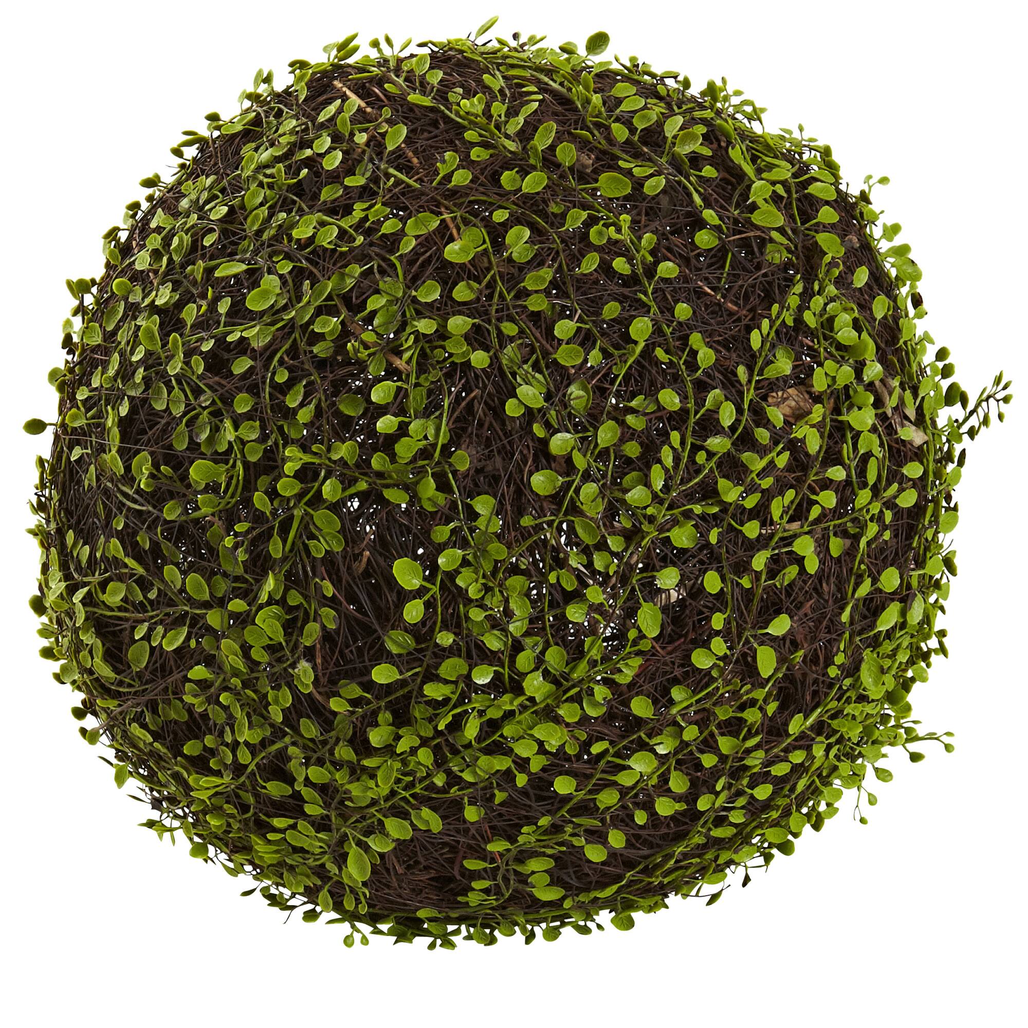 Wire Vine Bush