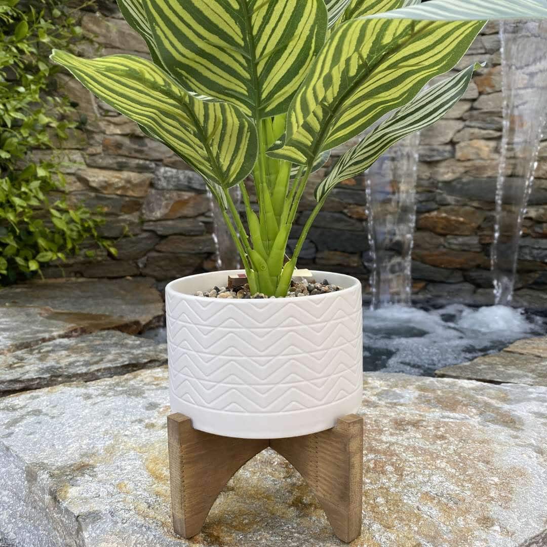 Flora Bunda&#xAE; 5&#x22; Wavy Ceramic Planter on Wood Stand
